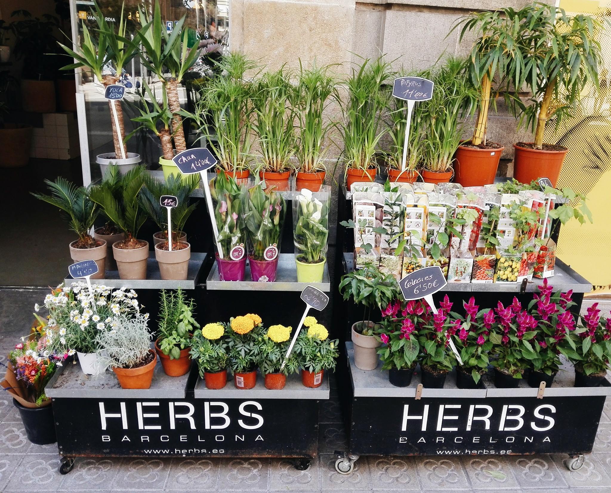 Floristerías de Barcelona Tiendas Time Out Barcelona