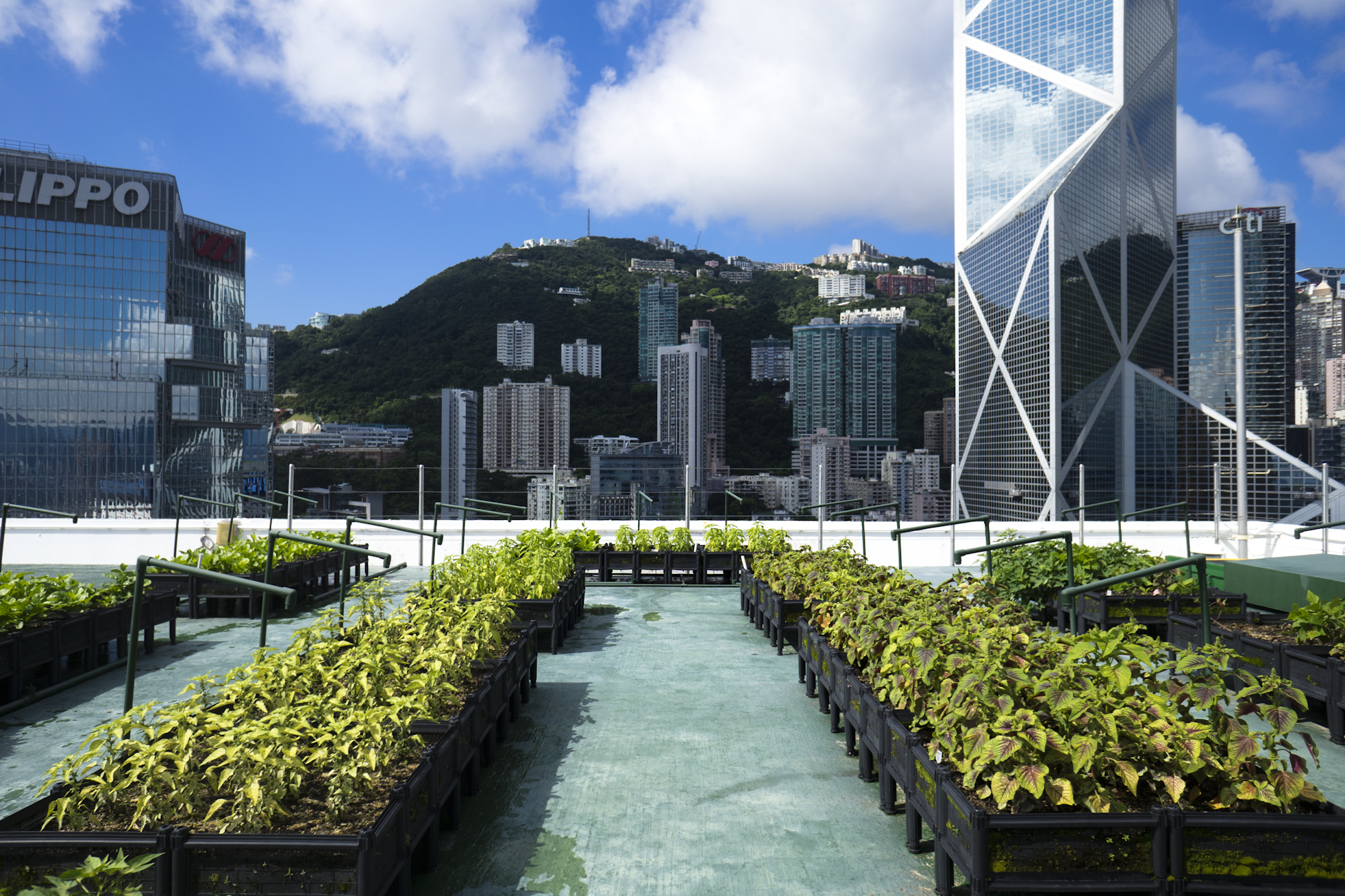 21 tips to sustainable living in Hong Kong — Time Out