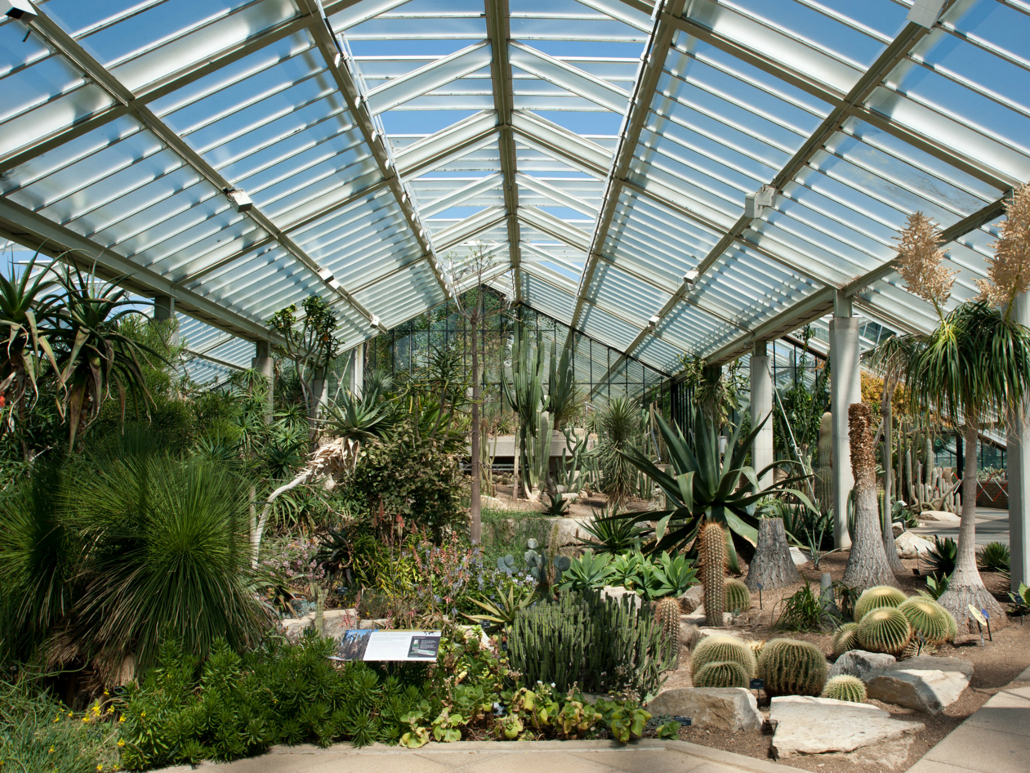 8 Great Greenhouses In London Open For Bookings