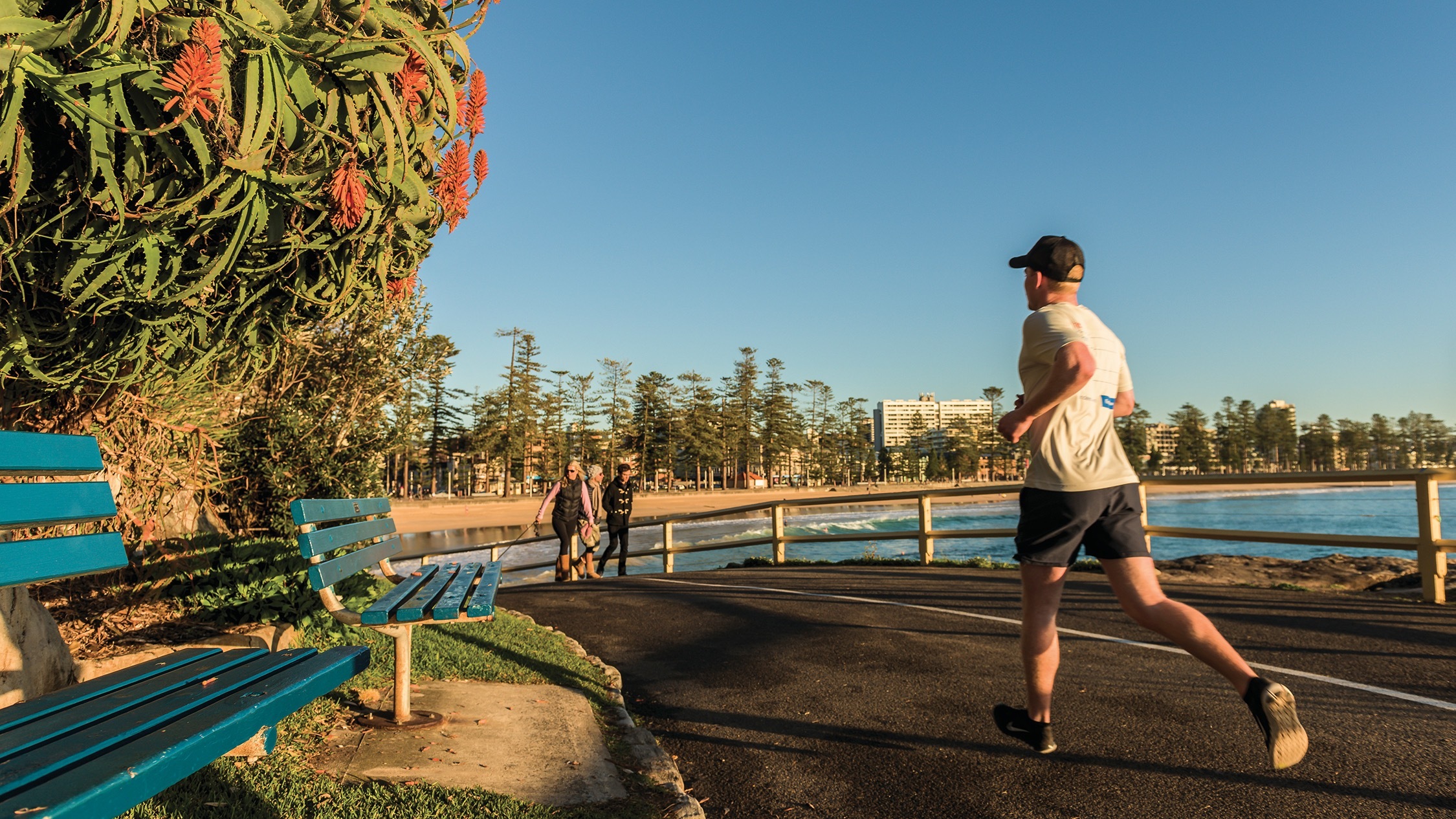 The 13 best running routes in Sydney