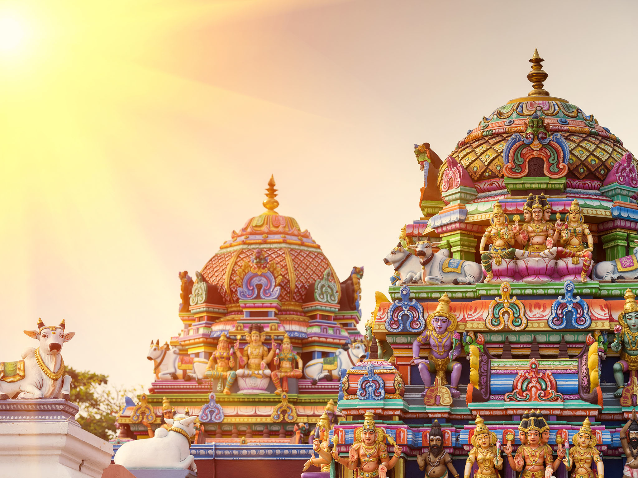 Chennai 2024 Ultimate Guide To Where To Go, Eat & Sleep in Chennai