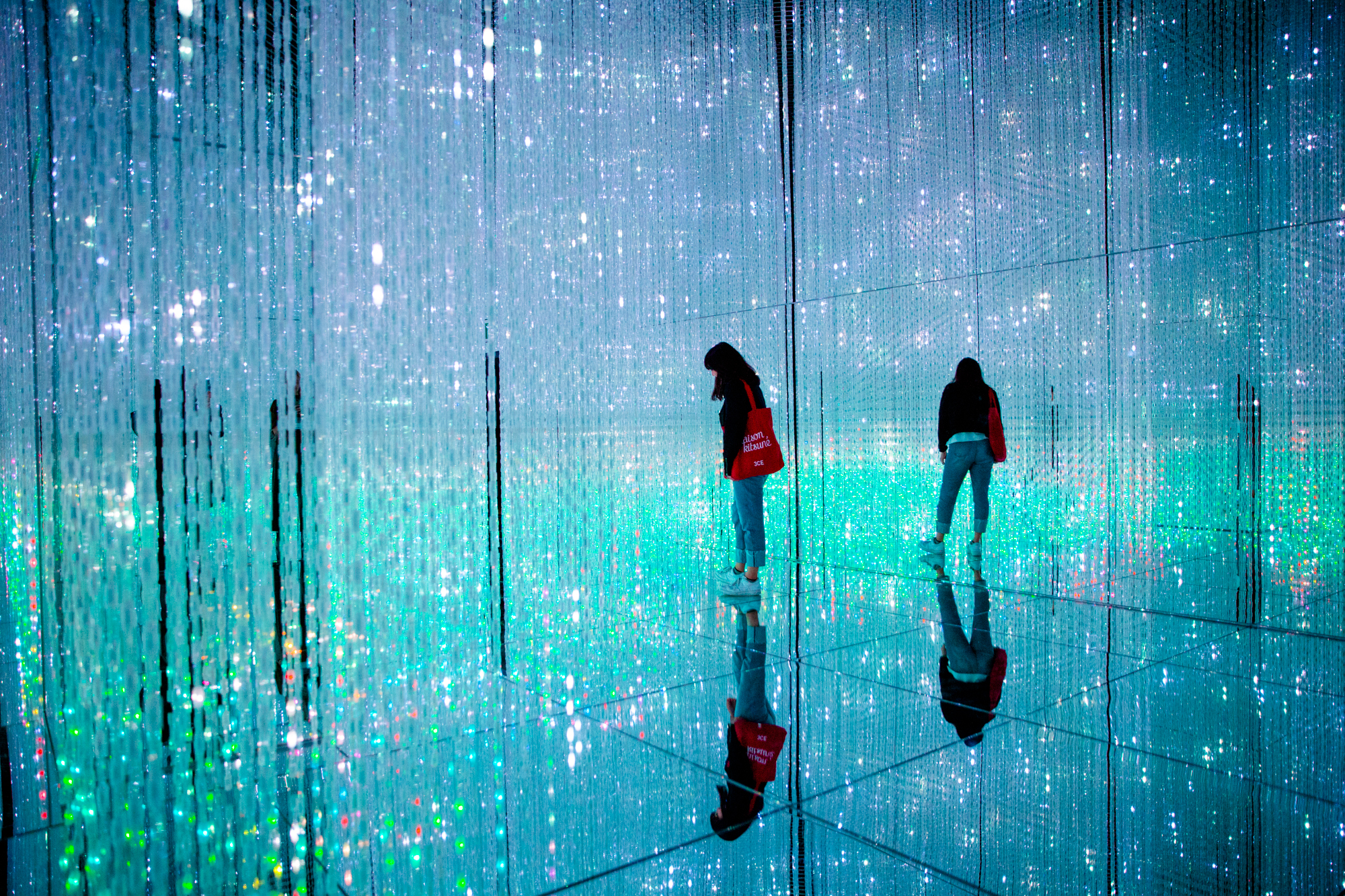 Exhibit guide to the Mori Building Digital Art Museum Epson teamLab