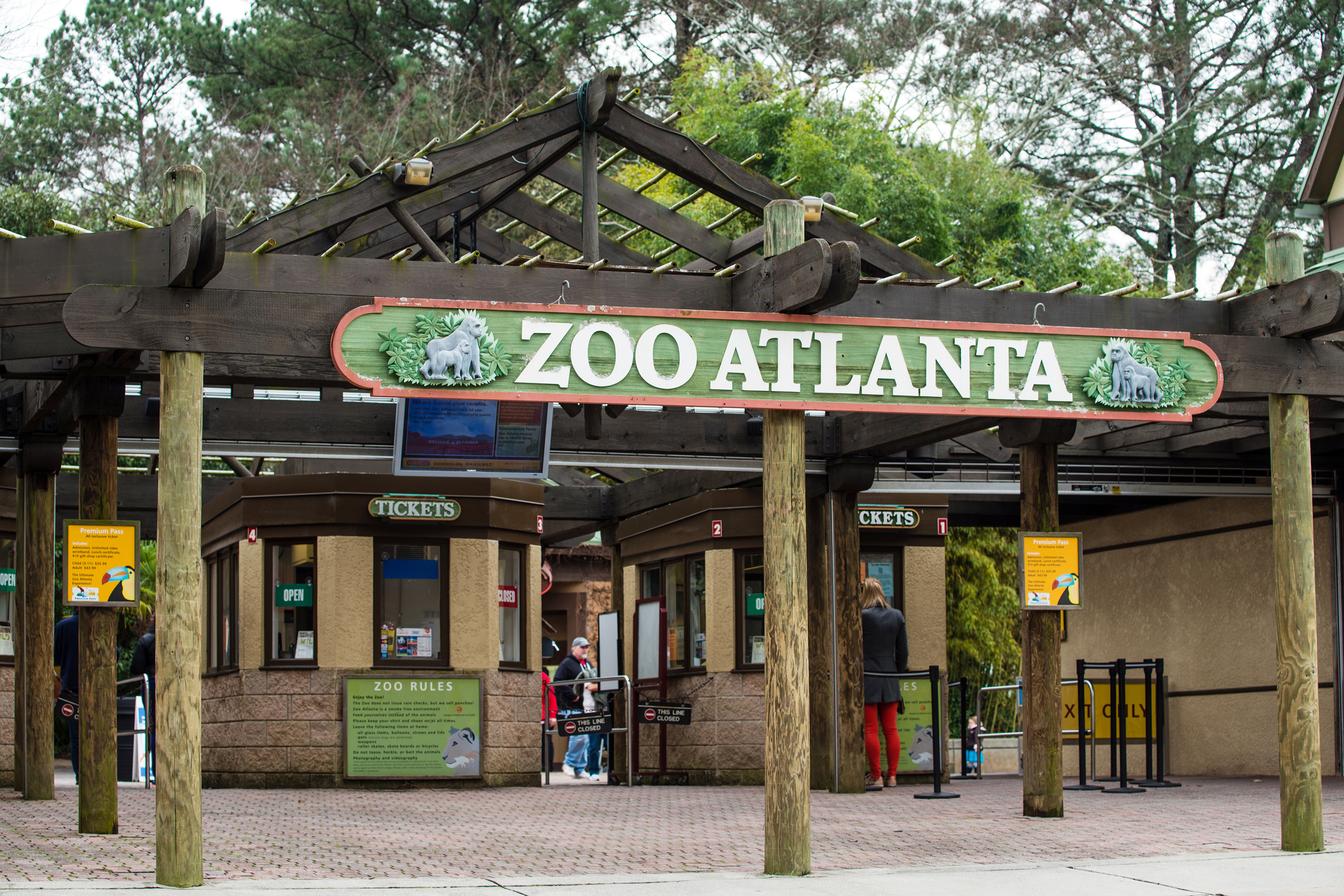 15 Best Things to Do with Kids in Atlanta for NonStop Fun