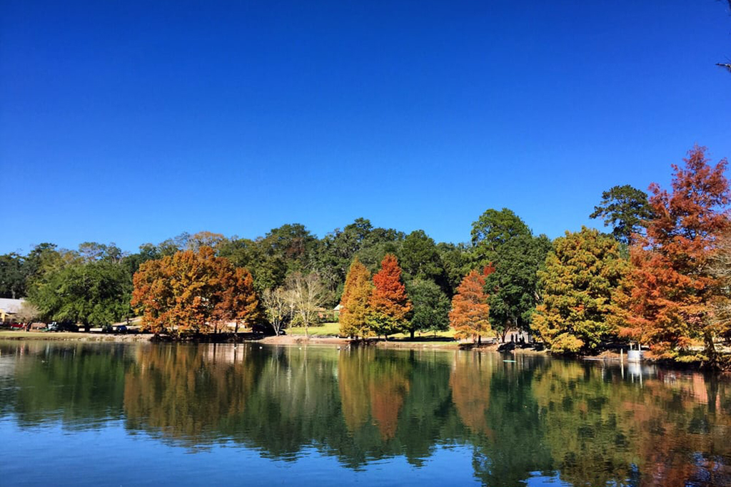 Things to do in Tallahassee 12 MustSee Sights and Attractions