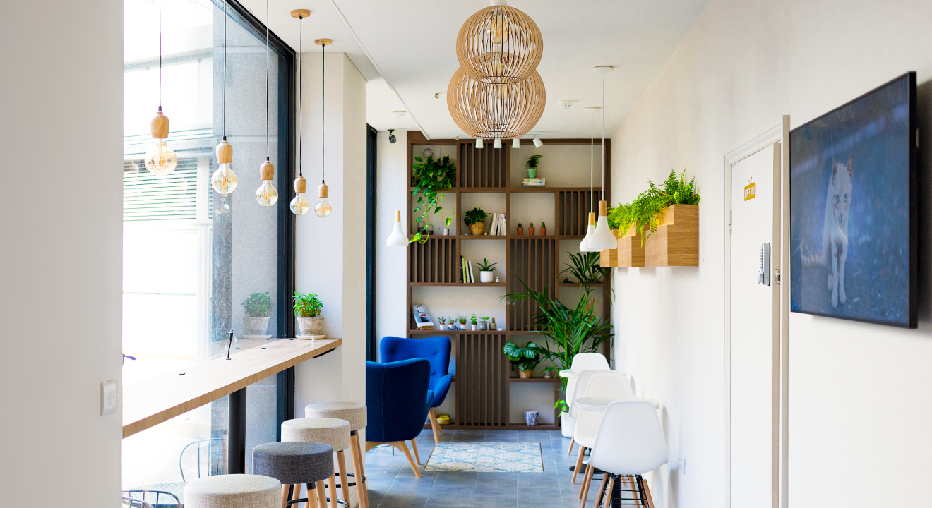 Dragon Cat Cafe Restaurants in Hammersmith, London