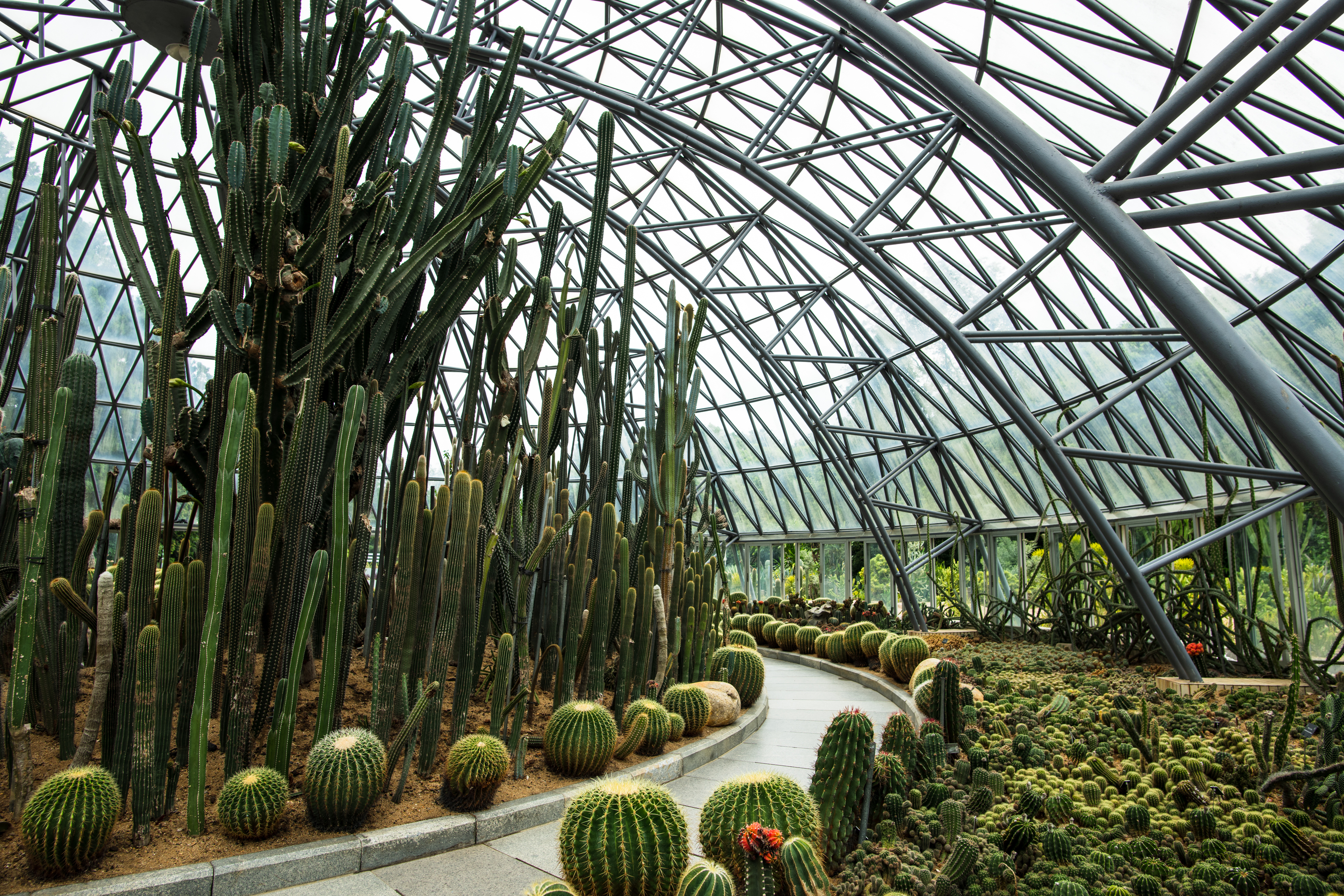 20 best things to do and eat in Shenzhen Time Out