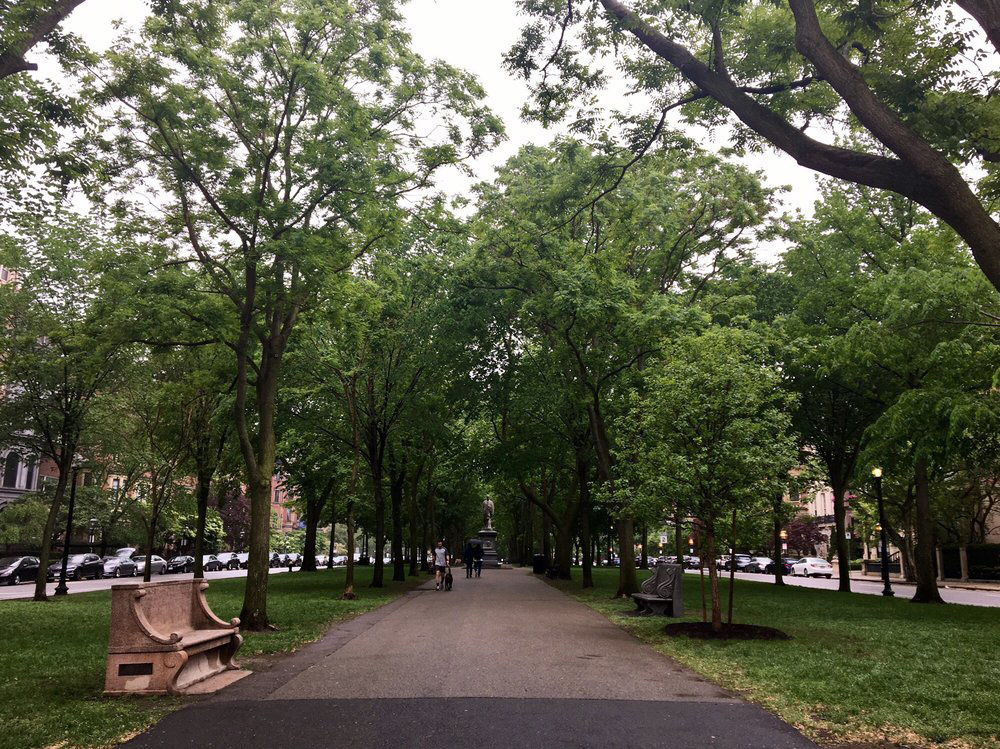 Commonwealth Avenue Mall Attractions in Back Bay, Boston