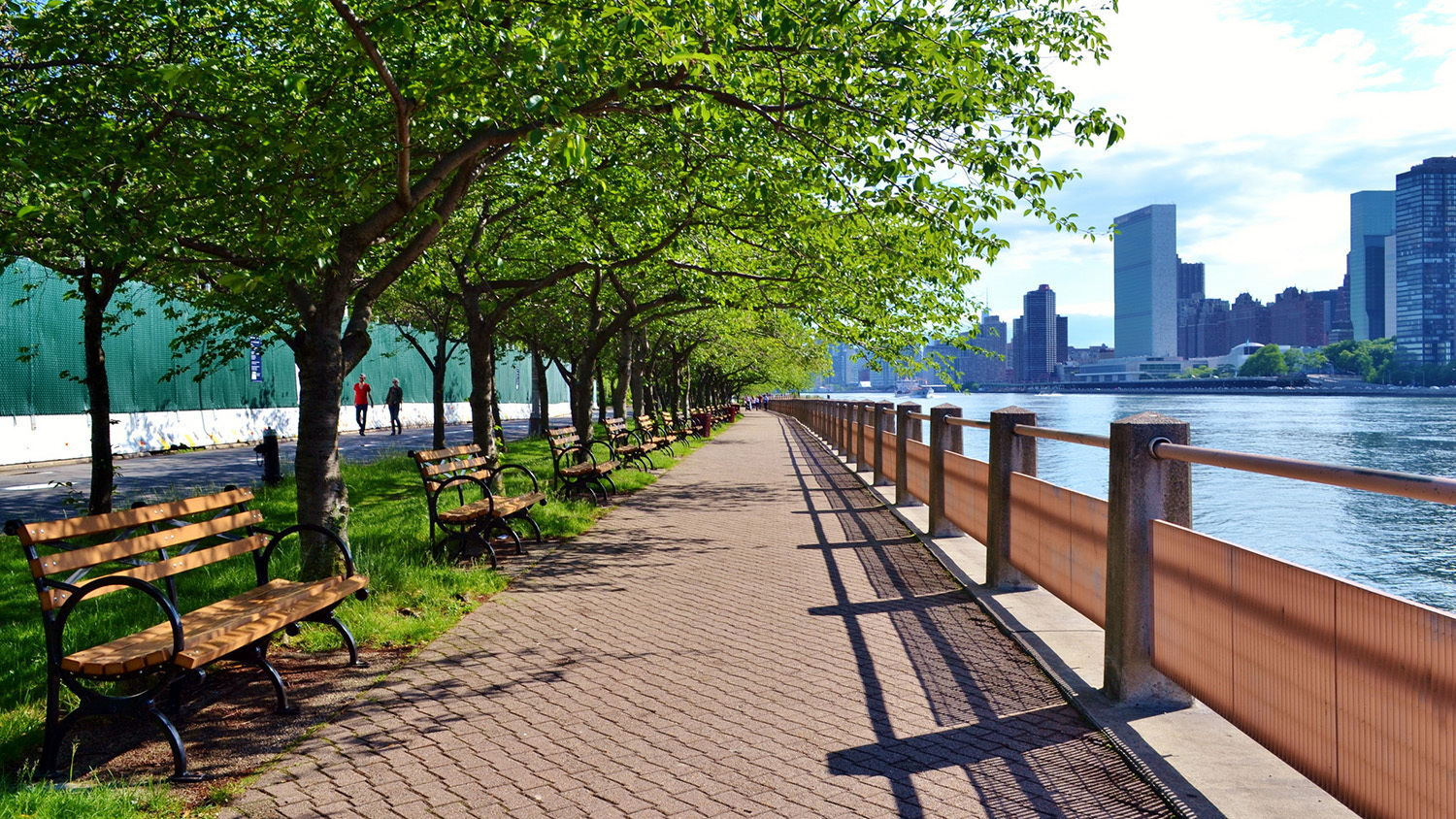 New York City Turkey Trot Things to do in New York