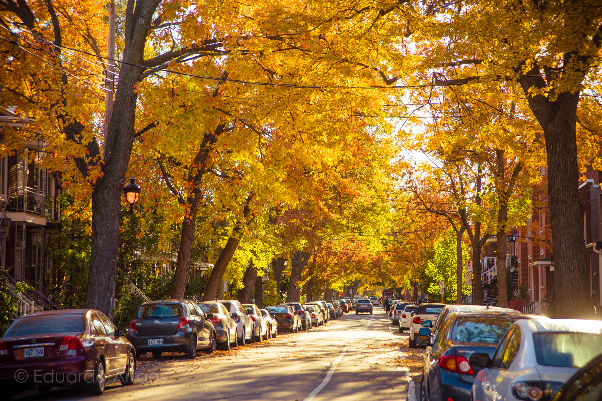 The Best Neighborhoods of the City Where to Stay in Montreal