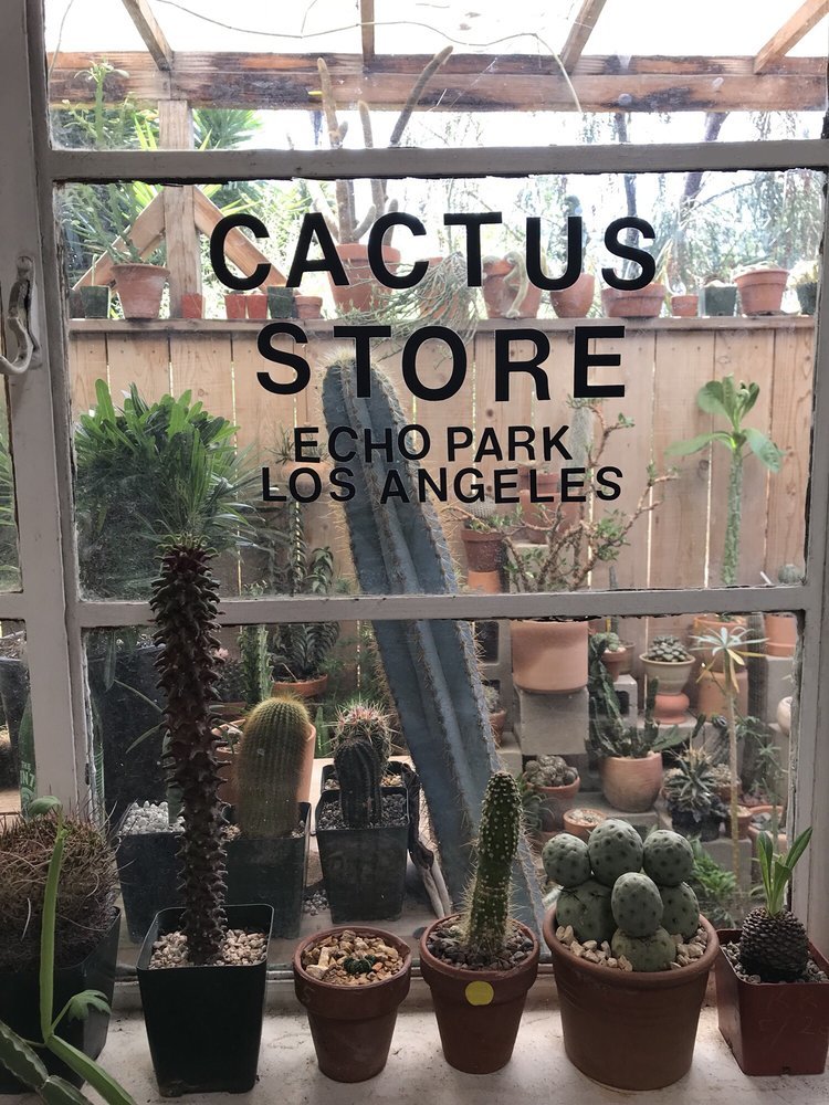 8 Cactus Gardens in L.A. for Succulent Obsessives