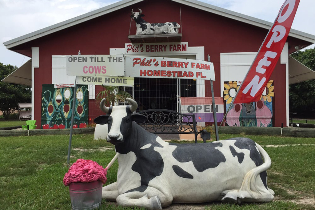 Phil’s Berry Farm Things to do in Redlands, Miami