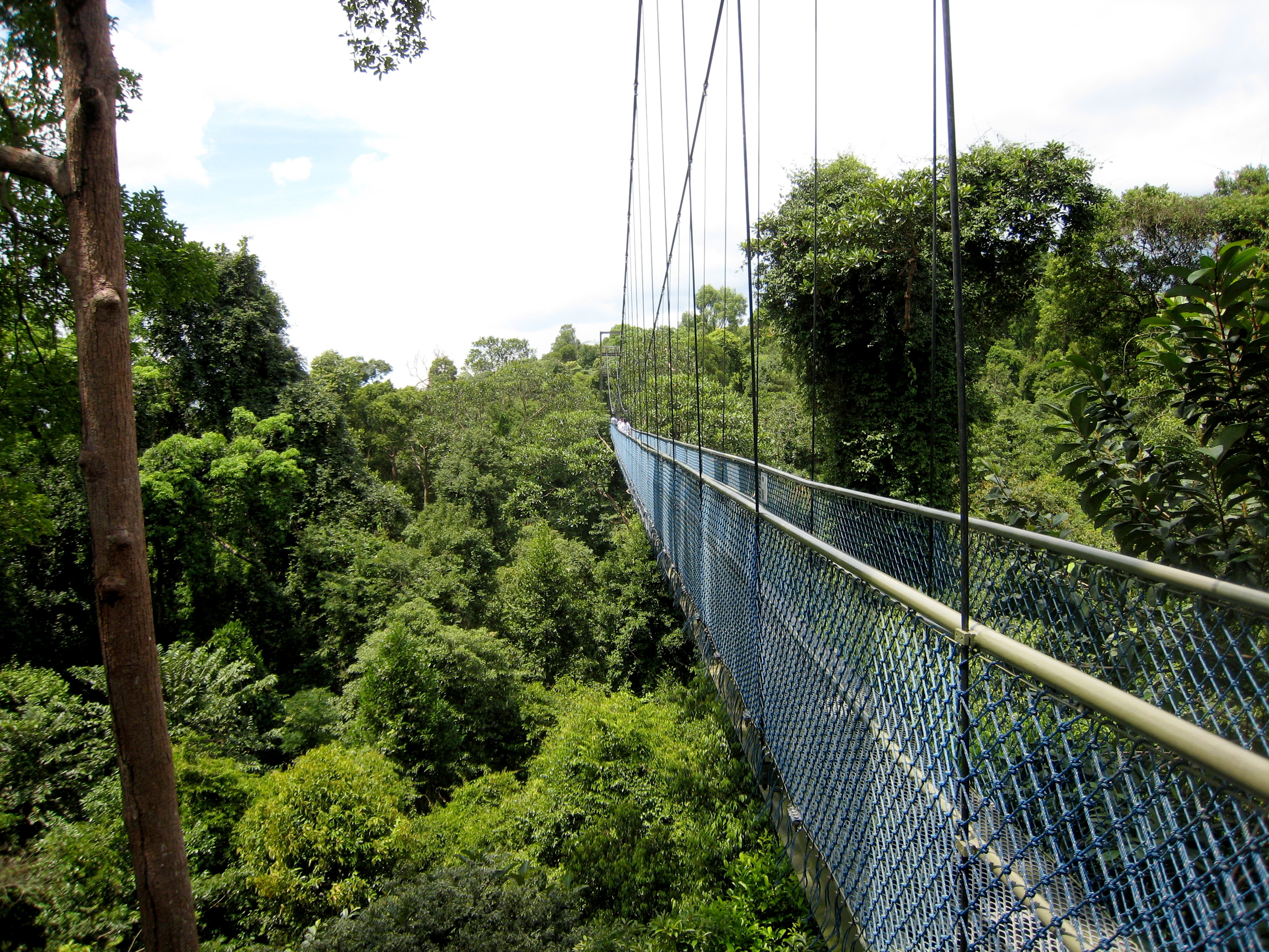 The Ultimate Guide To The Best Outdoor Activities In Singapore