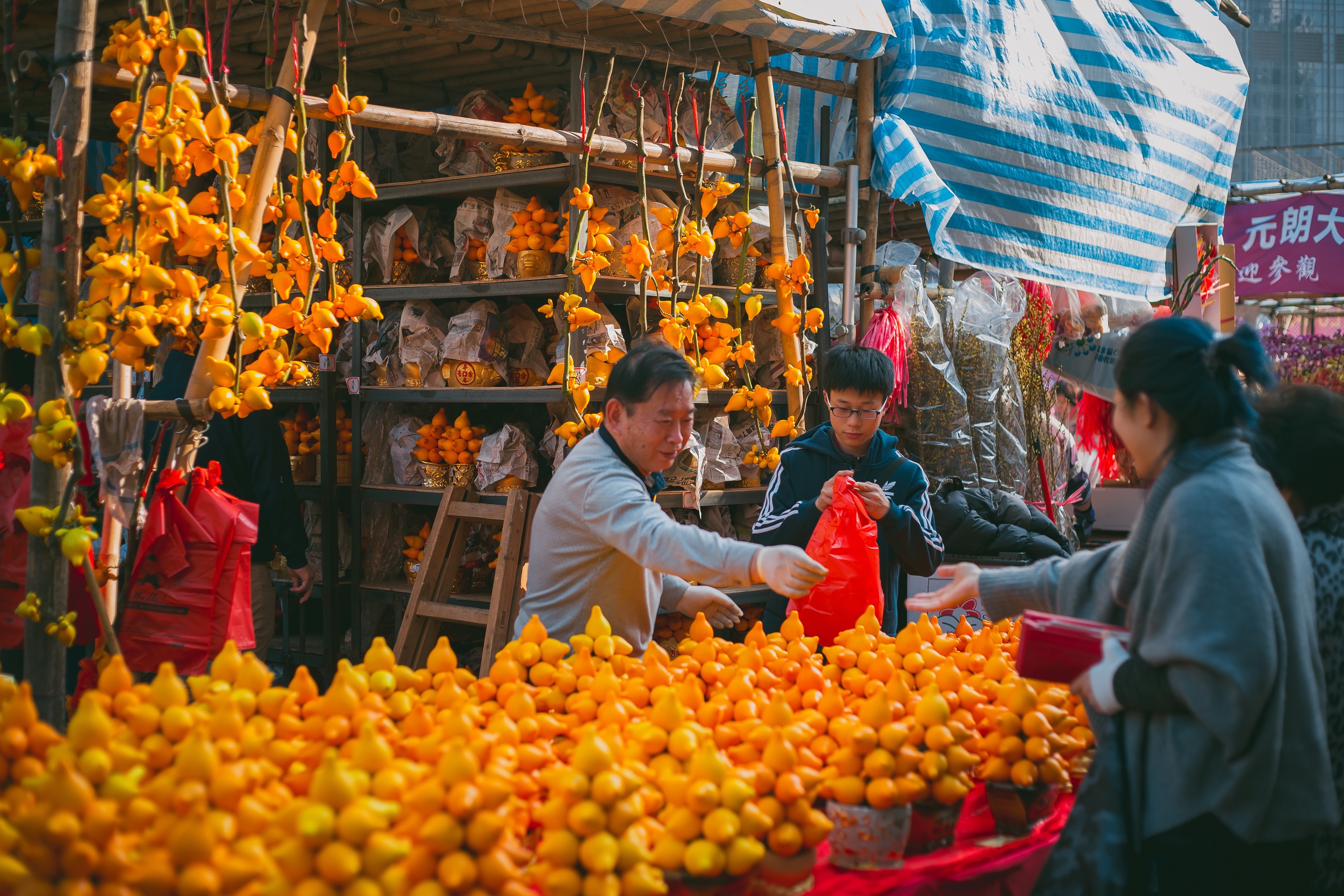 Hong Kong’s best Chinese New Year puddings 2019