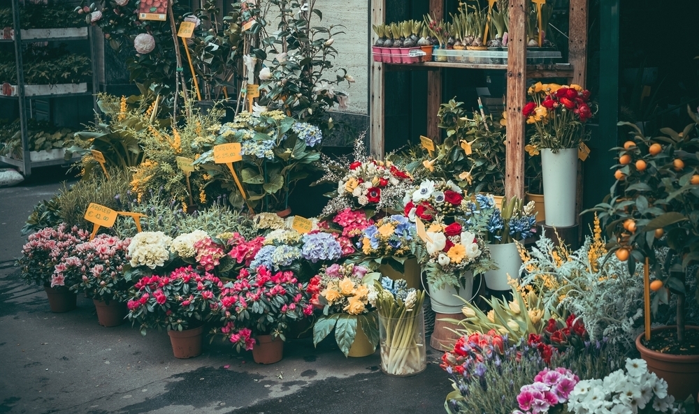 Tel Aviv's top flower shops