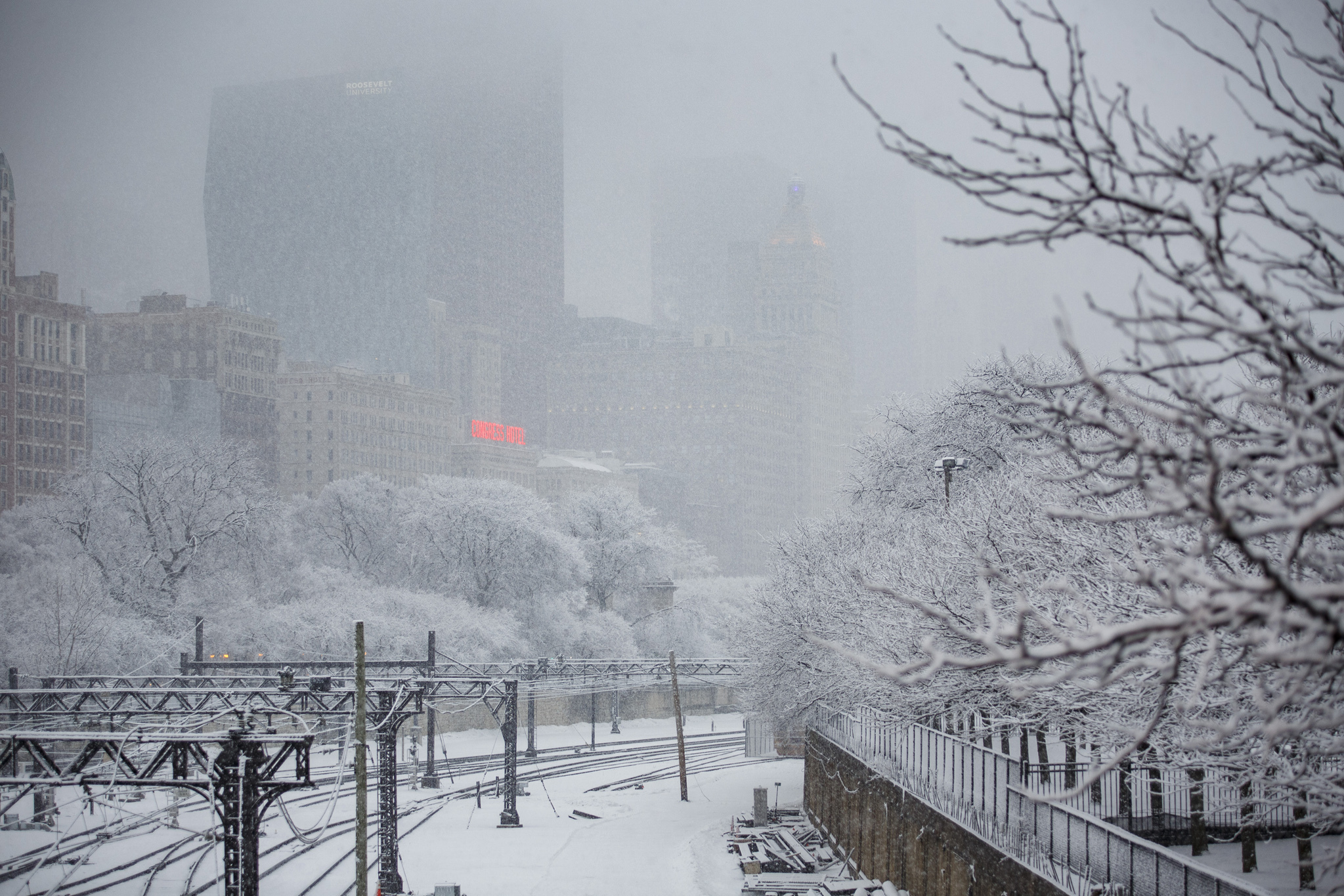 Time Out Chicago Chicago Events, Activities & Things To Do