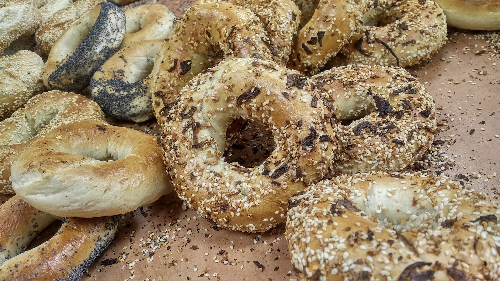 17 Best Bagels in Montreal for Your Next Carb Crawl