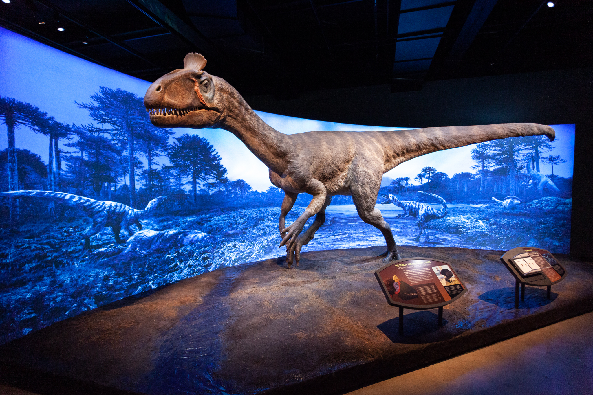 Natural History Museum Usc