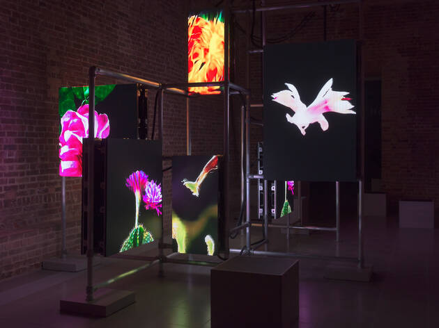 Top ten art exhibitions Art shows and exhibitions in London Time