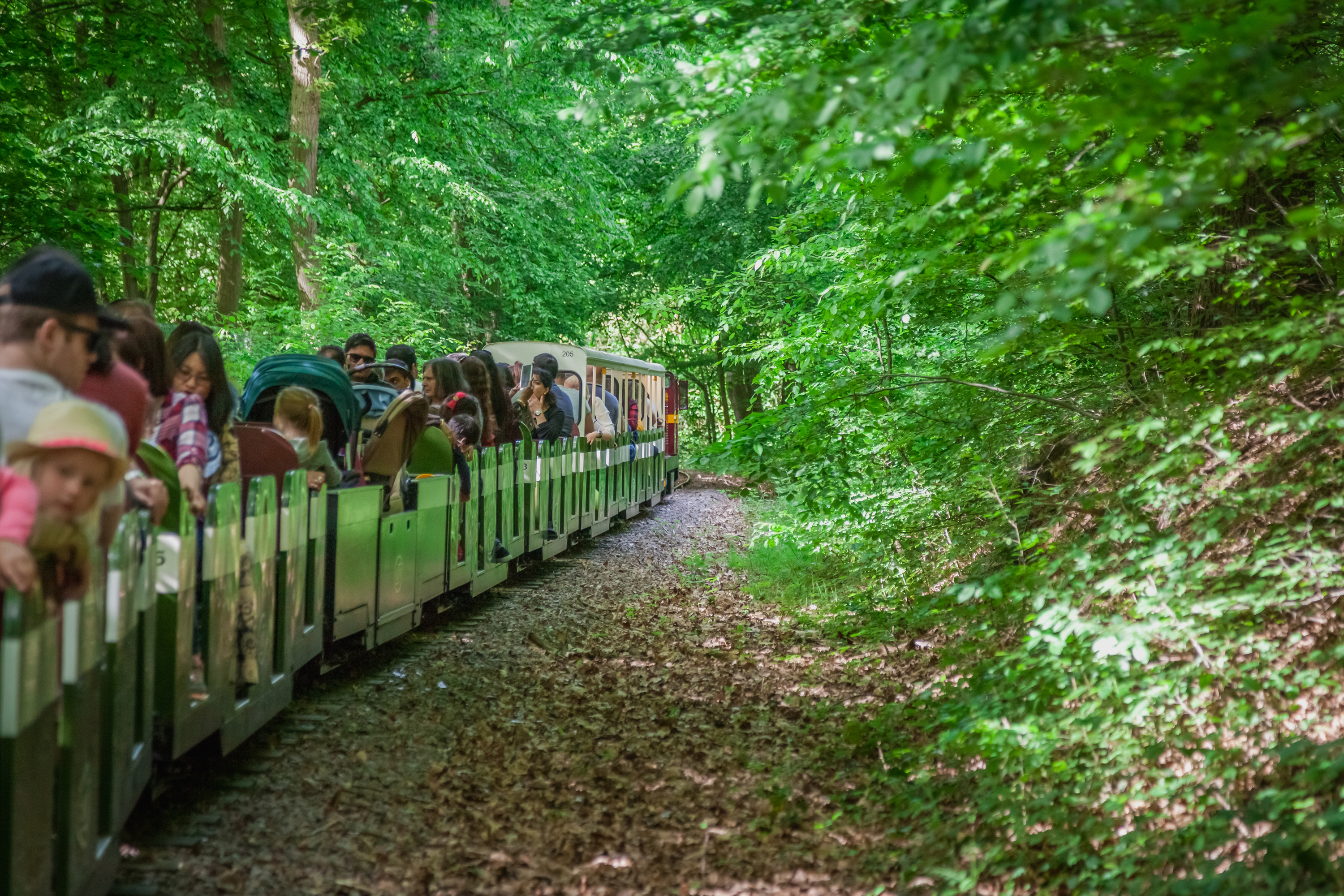 12 Best Family Day Trips From London | Days Out Near London With Kids