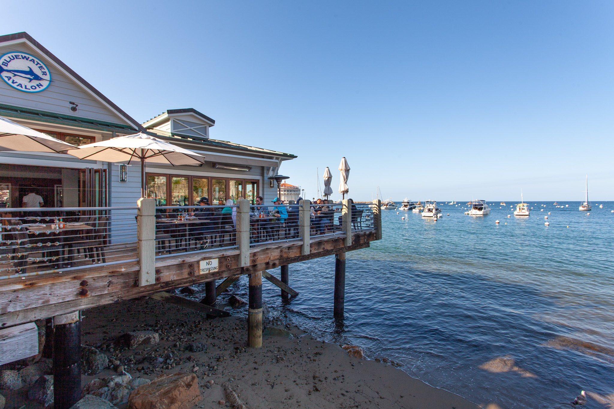 Best Catalina Island Restaurants and Bars for Island Eats