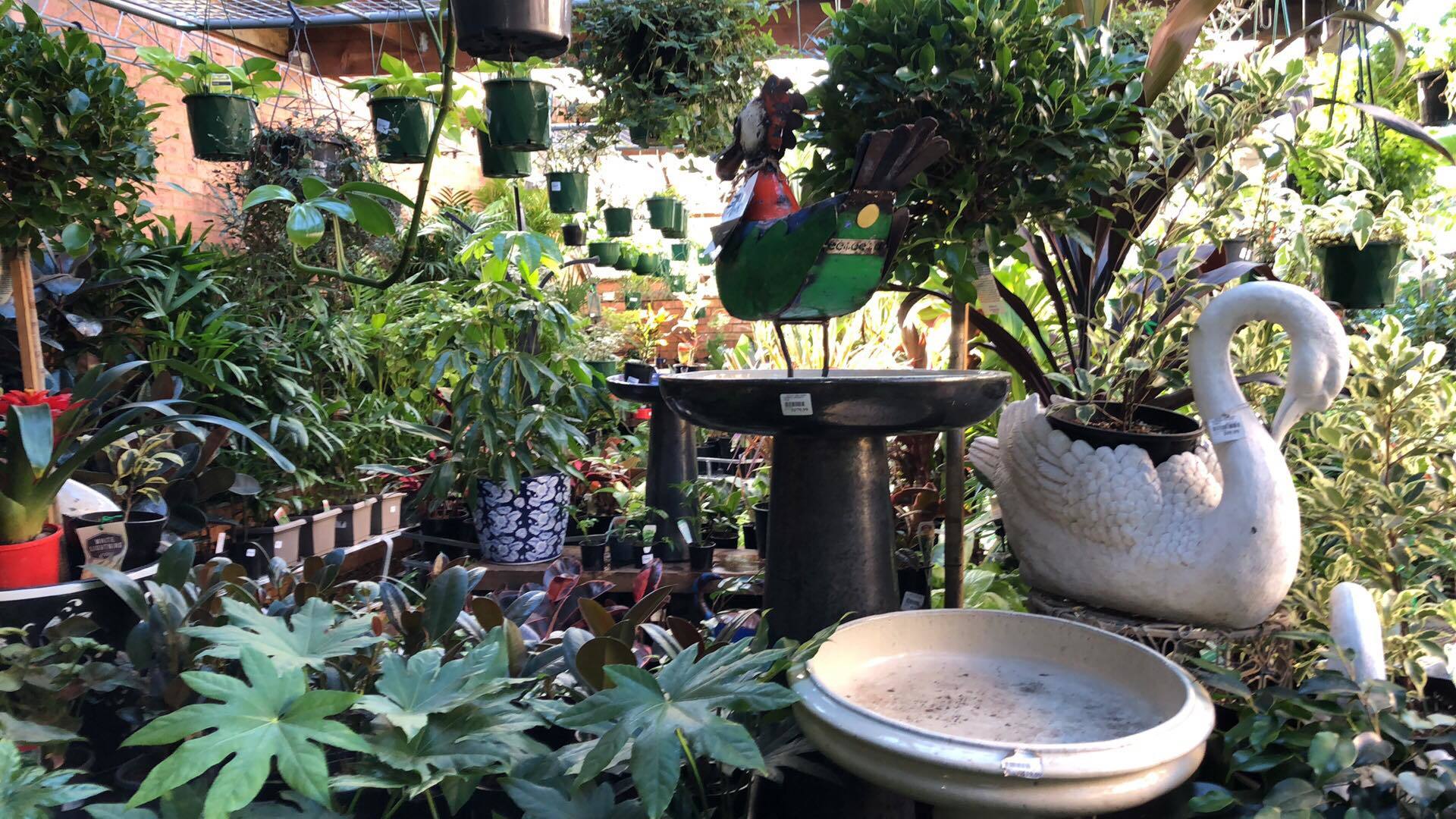 Flower Power Enfield Cafe Best Flower Site