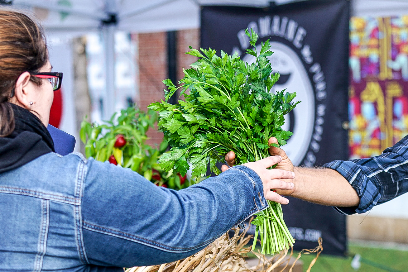 12 Best Farmers’ Markets in Montreal to Shop and Snack At in 2020