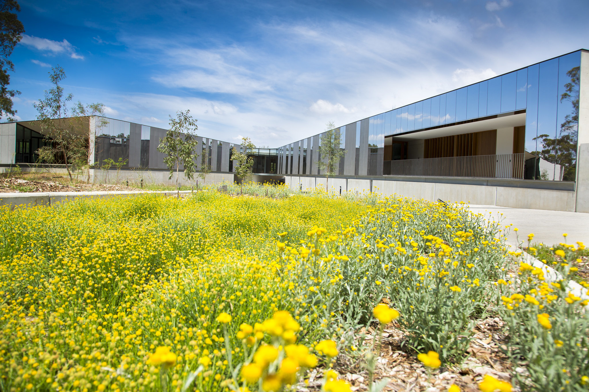 The Australian Botanic Garden, Mount Annan Things to do in Sydney, Sydney