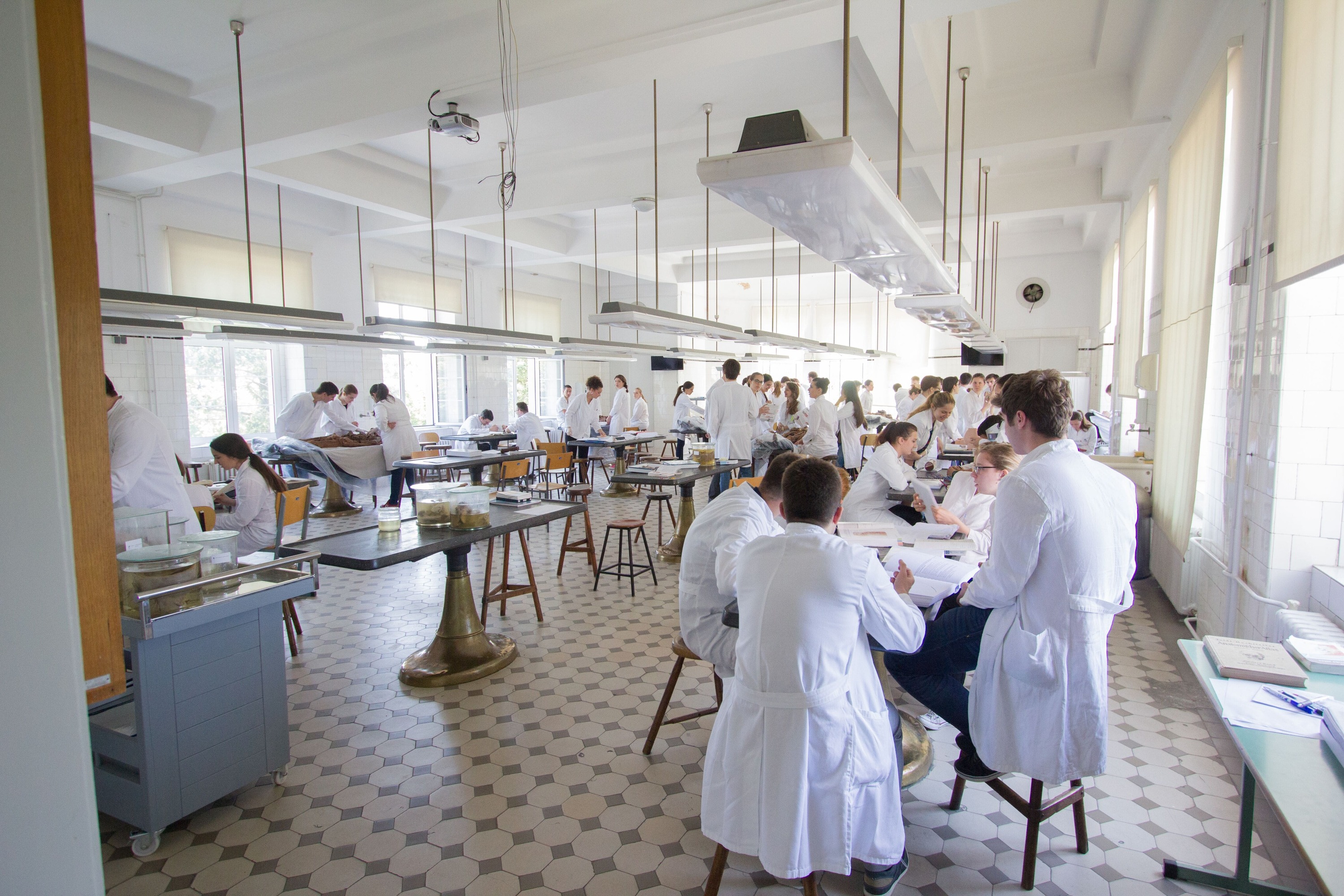 Pioneers of potential University of Zagreb School of Medicine Zagreb healthcare