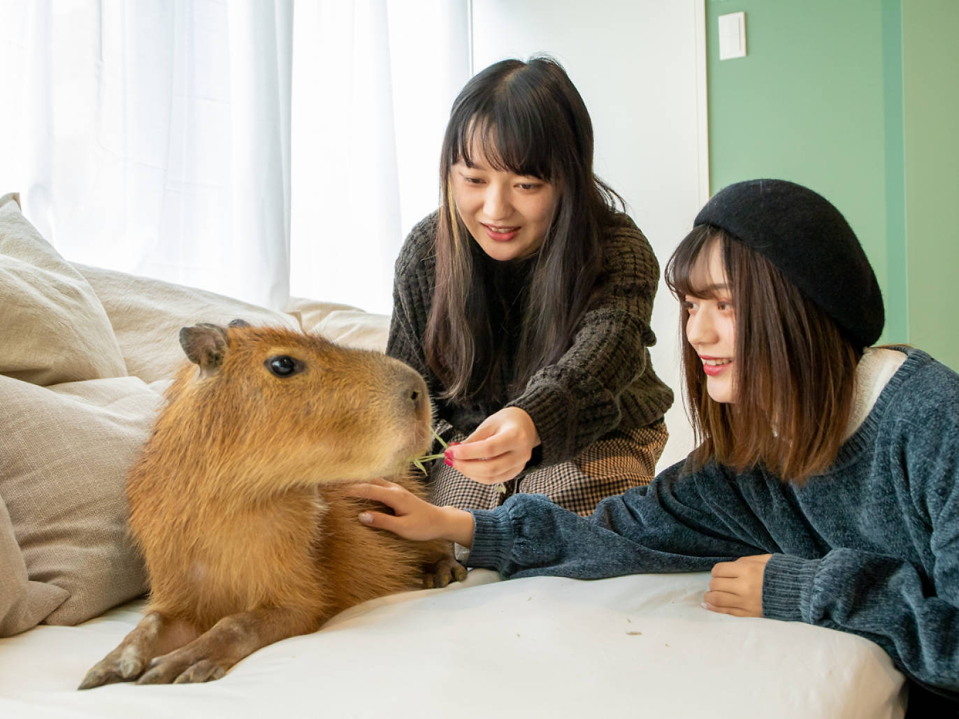 10 best animal and pet cafés in Tokyo