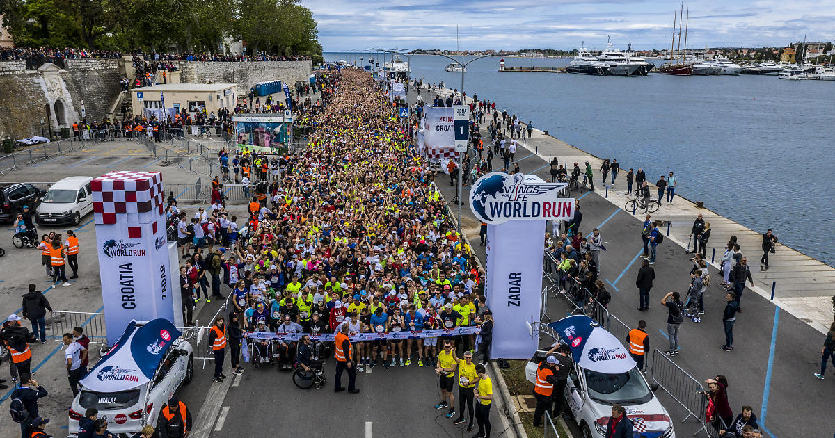 Wings for Life World Run Croatia Things to do in Croatia