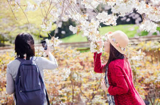 Events New York April 2023 Best Nyc Events In April 2022 With Outdoor Activities