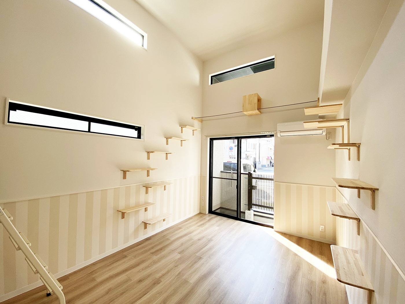 This new apartment in Kobe comes with catfriendly features