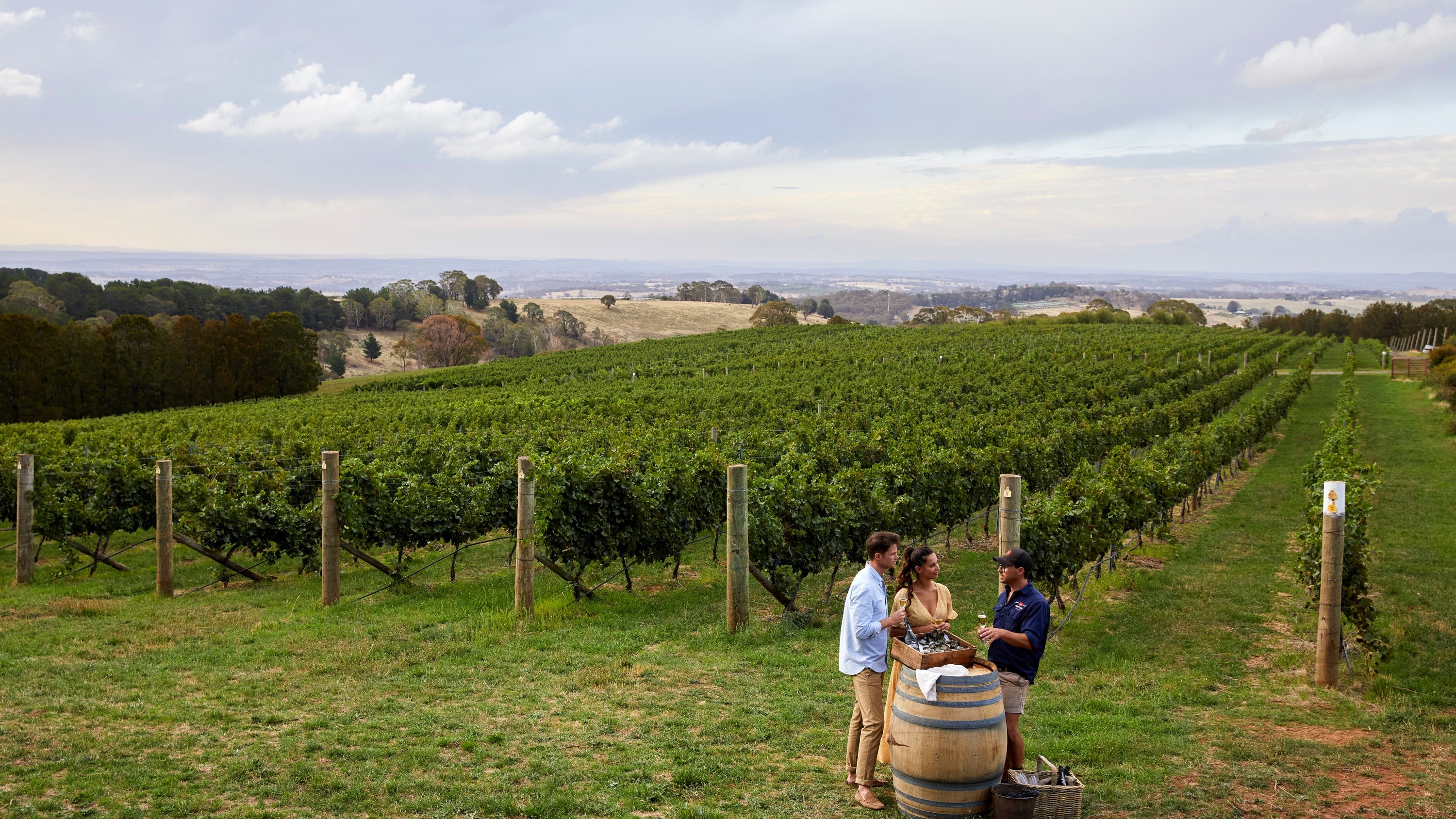 A complete guide to Orange