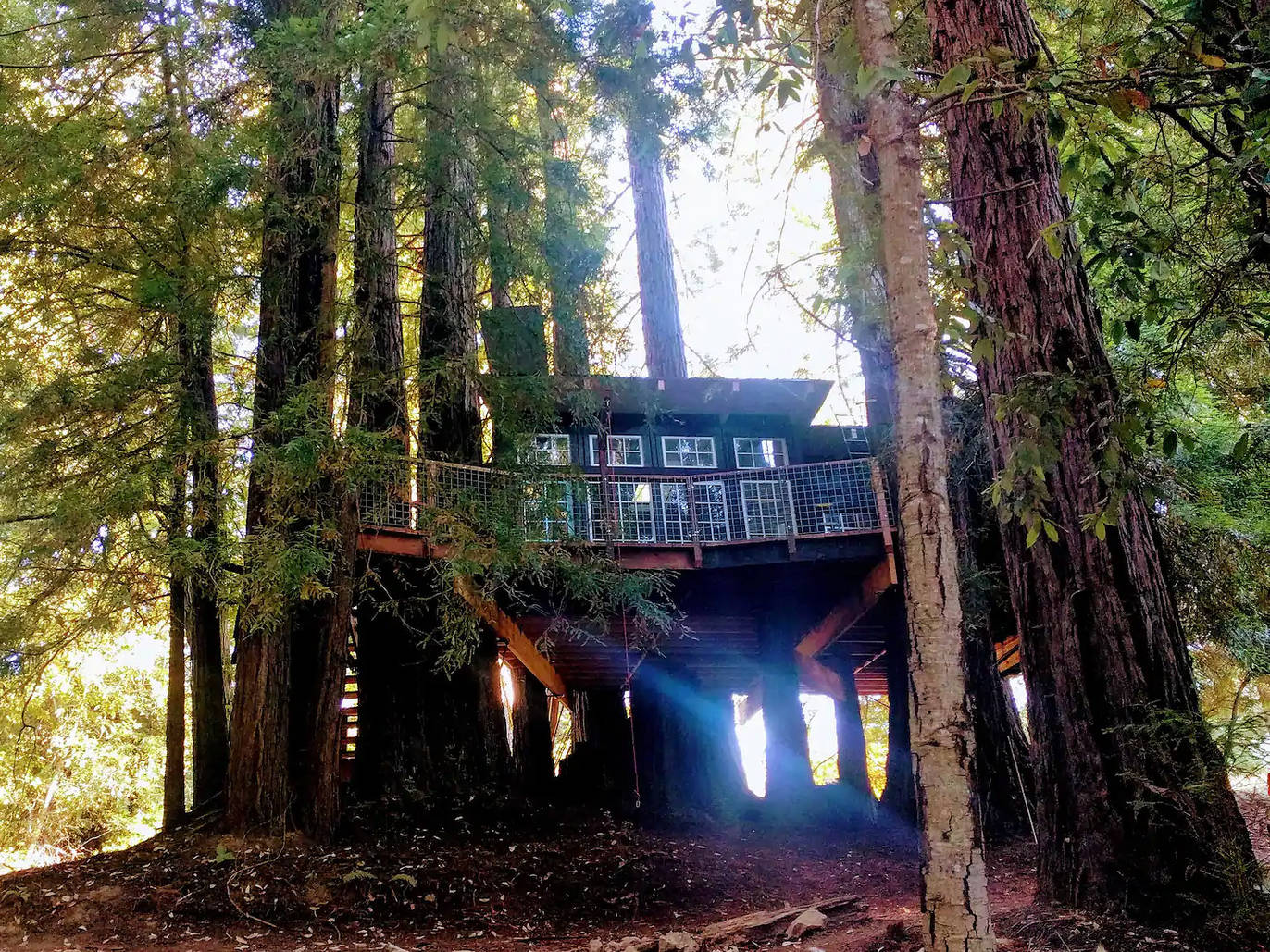 8 Amazing Treehouse Airbnbs Worth the Drive from Los Angeles for 2023