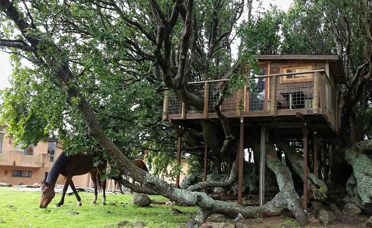 8 Most Amazing Treehouse Rentals Worth Driving to From L.A.