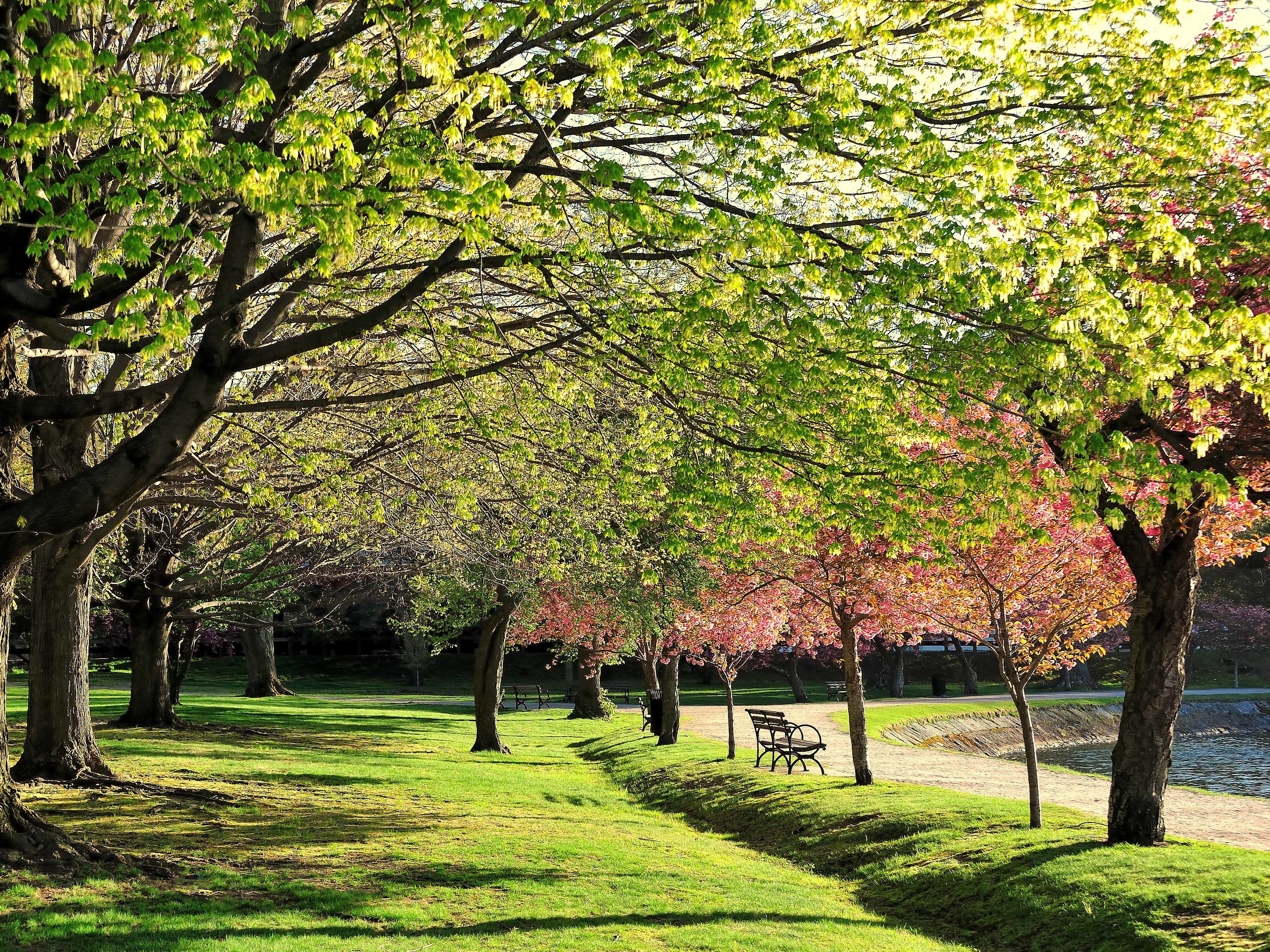 Best Picnic Spots in Boston 9 Relaxing Parks and Gardens