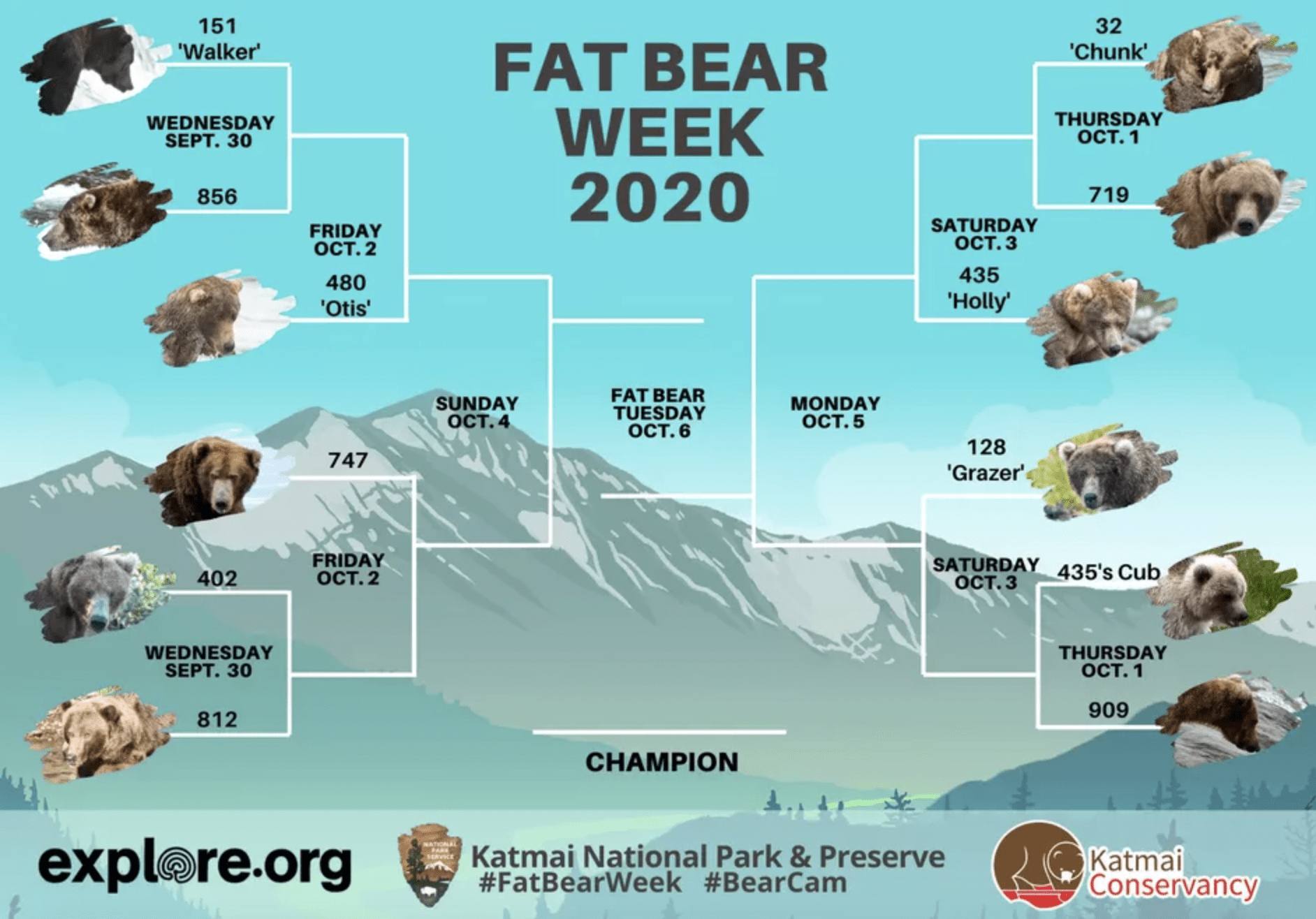 Fat Bear Week is upon us and here is everything you need to know about it
