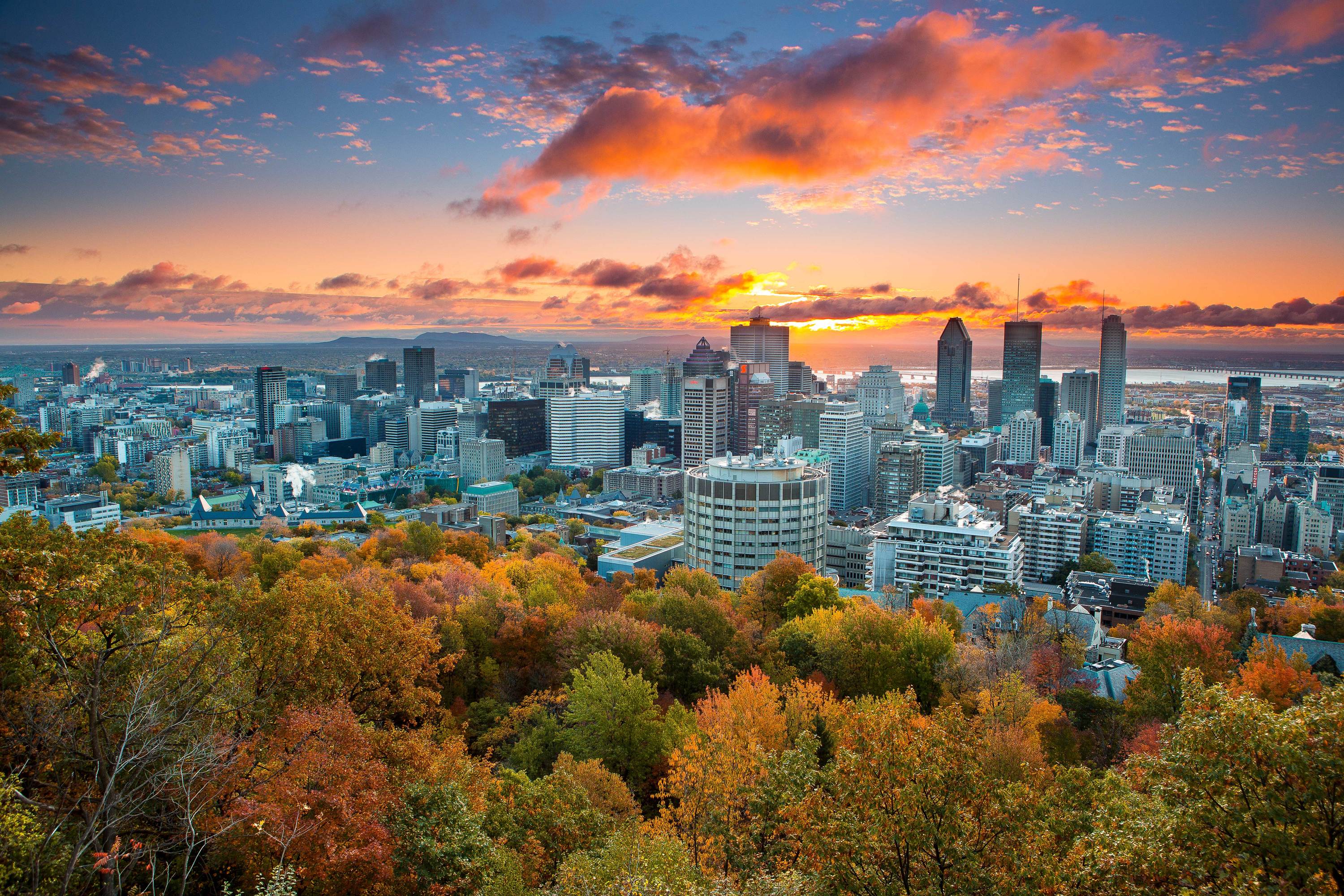 This Map Tracks Where Fall Foliage is Peaking Across Quebec