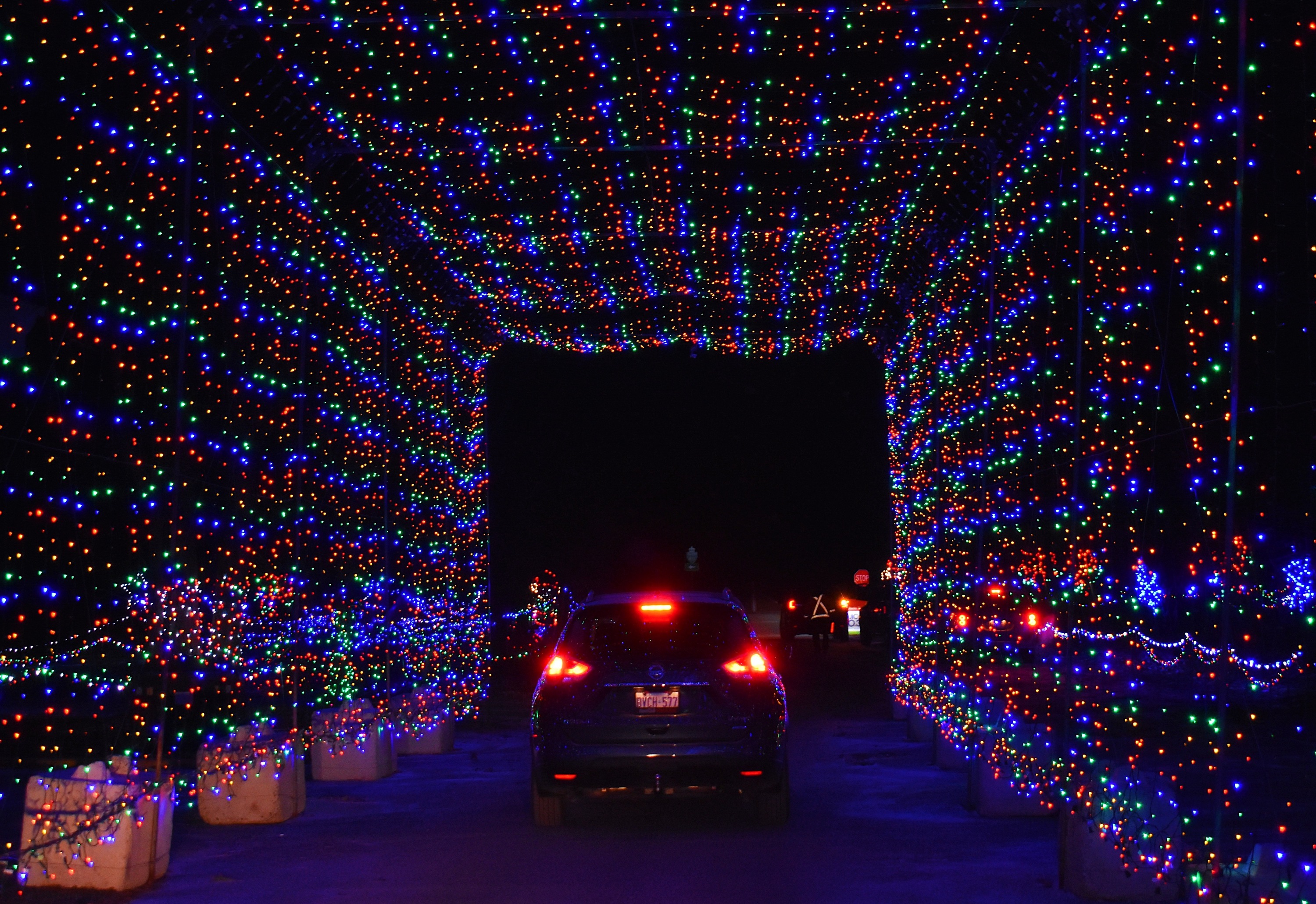 Magic of Lights Things to do in New York Kids