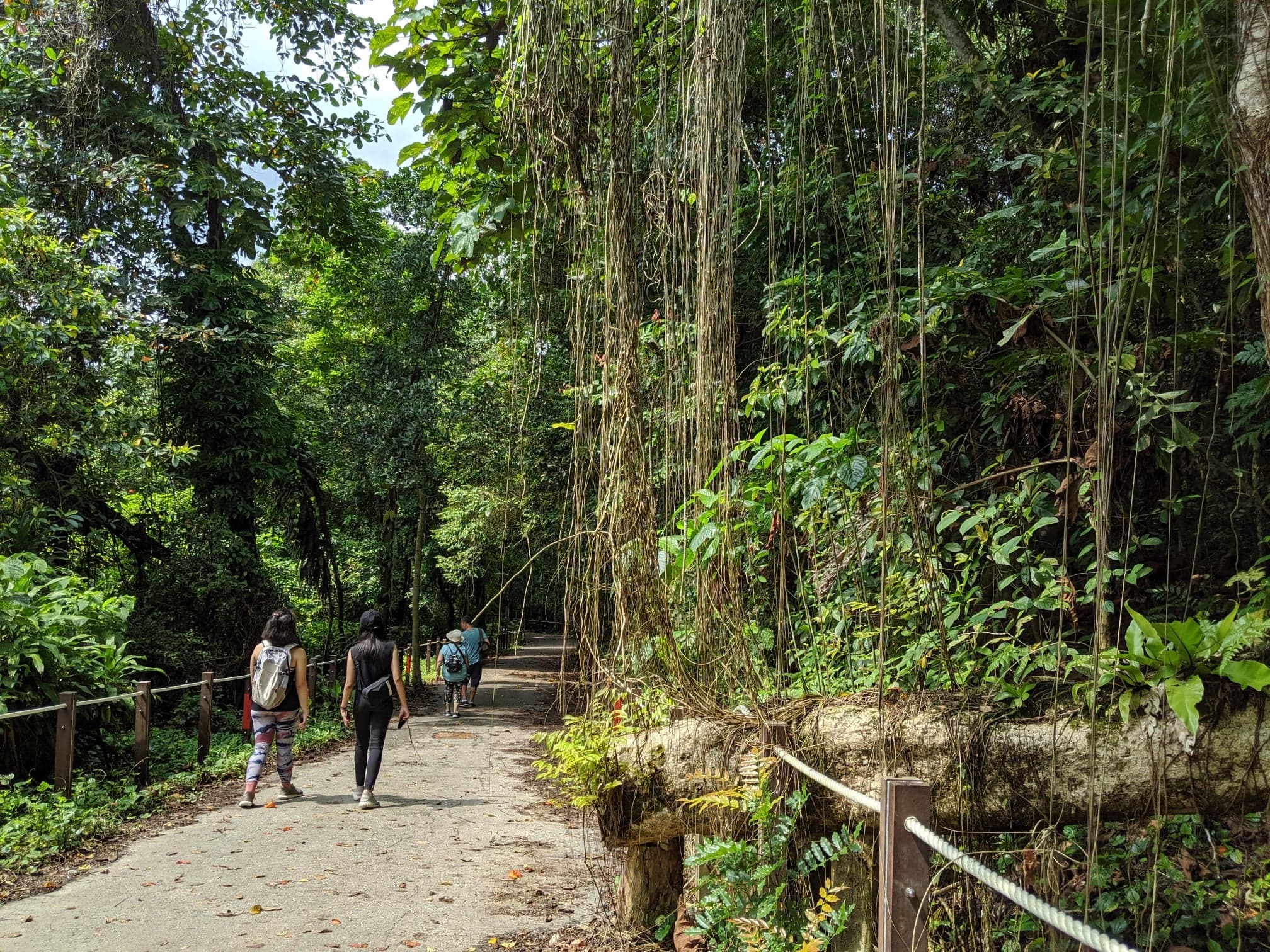 21 Best Nature Trails In Singapore Nature Walks
