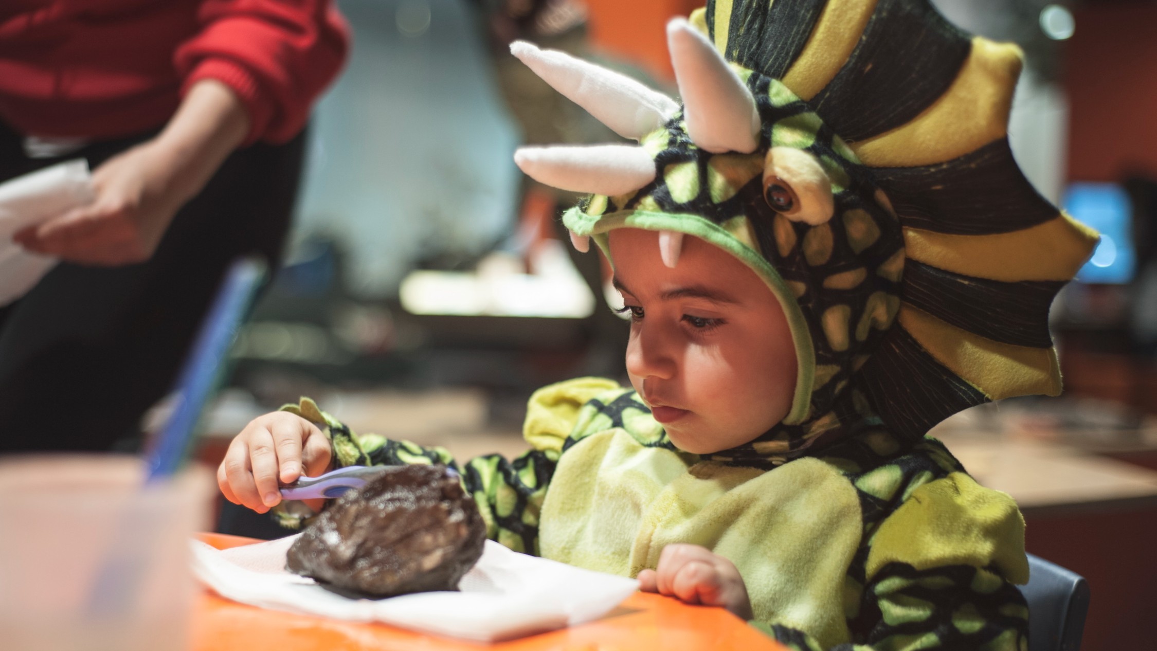 Free Online Activities For Kids From Sydney Museums And Galleries