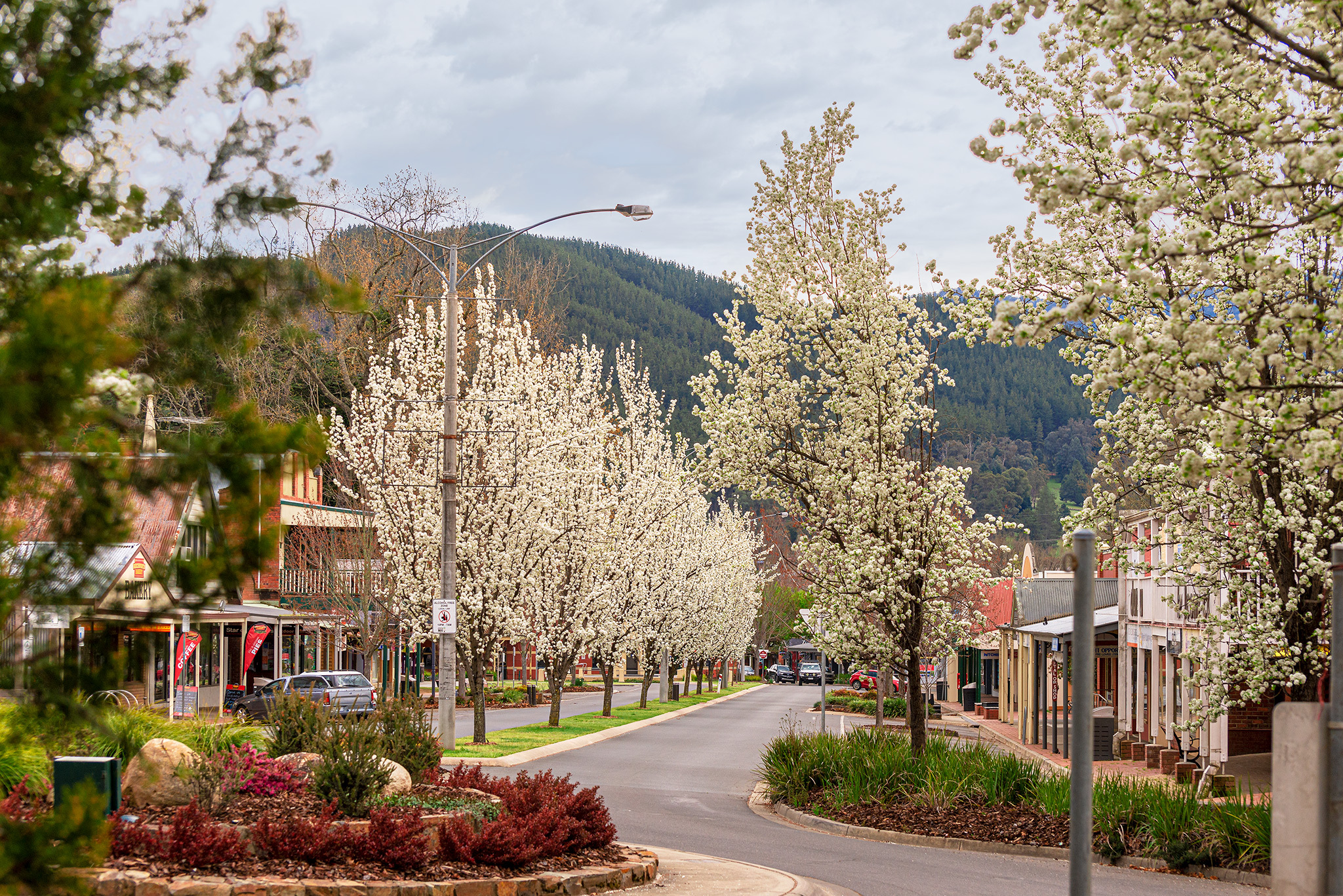 Three towns in Victoria named among the best to visit in Australia