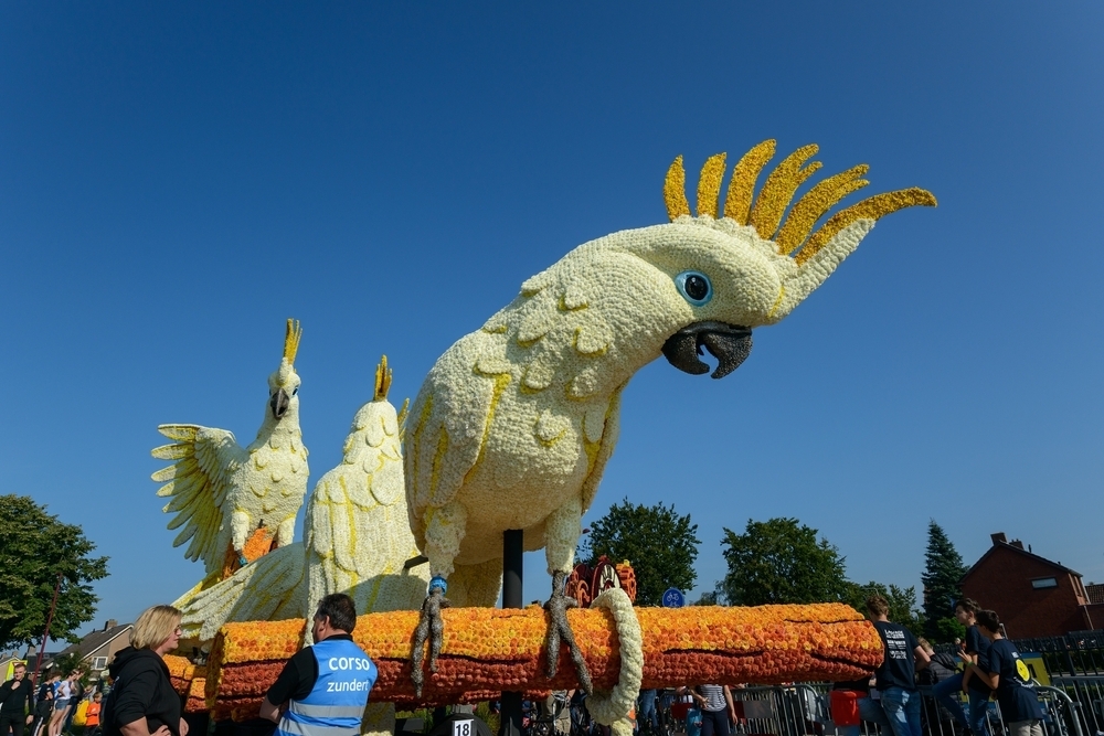 Corso Zundert World’s Biggest Flower Parade in Amazing Images