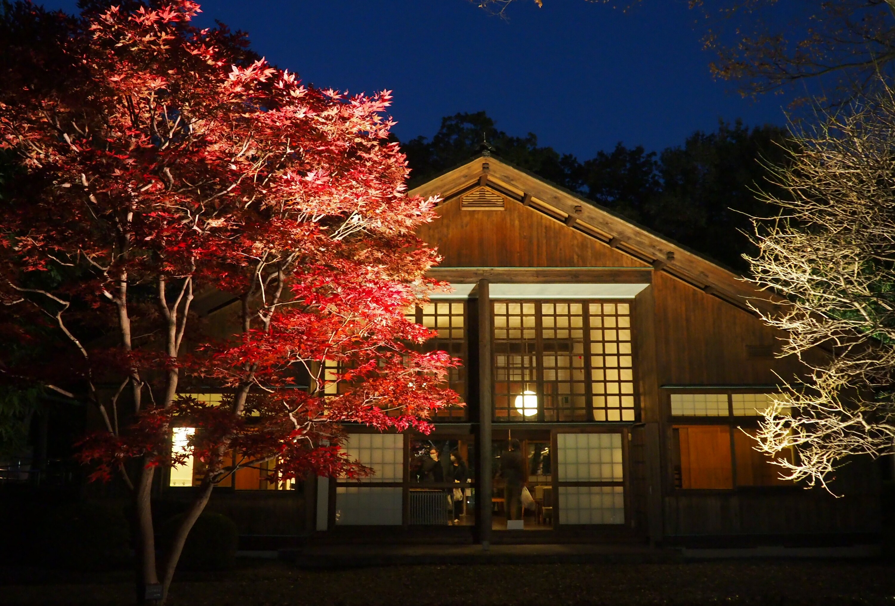 EdoTokyo OpenAir Architectural Museum Lightup Things to do in Tokyo