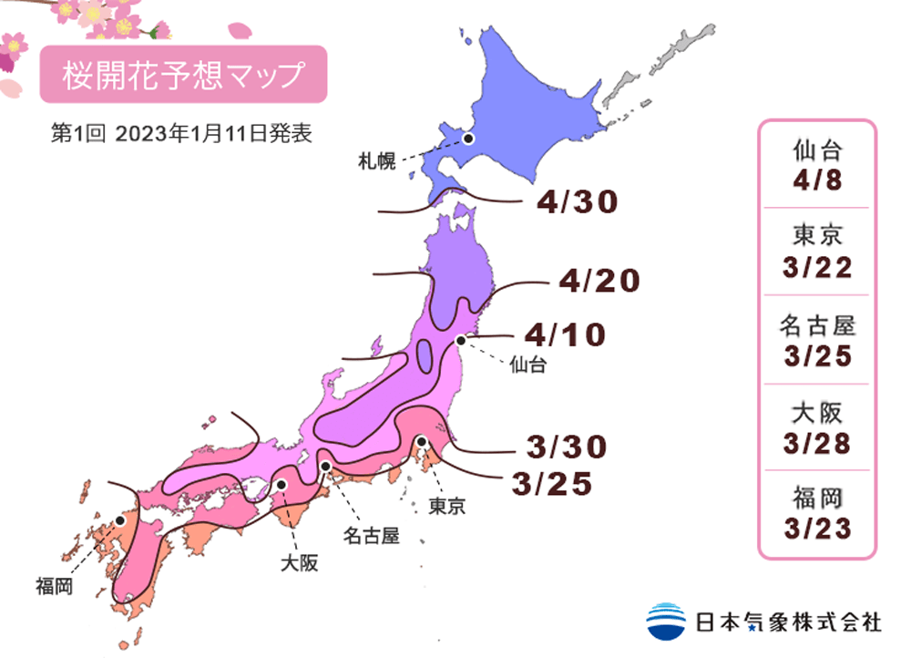 The 2023 Japan cherry blossom forecast is here