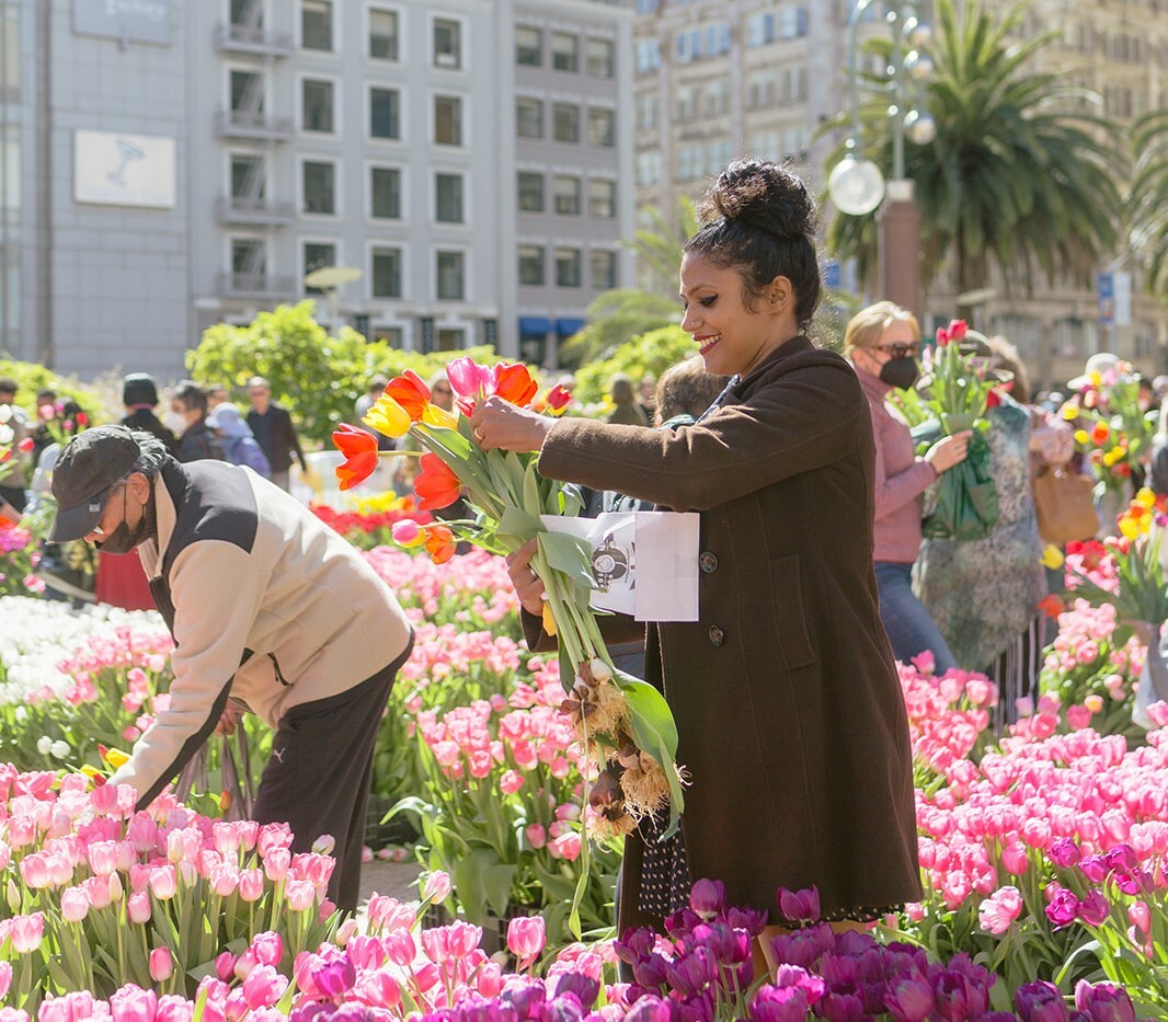 San Francisco’s Union Square is Giving Away Thousands of Flowers