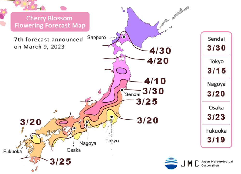 The 2023 Japan cherry blossom forecast is here updated March 9