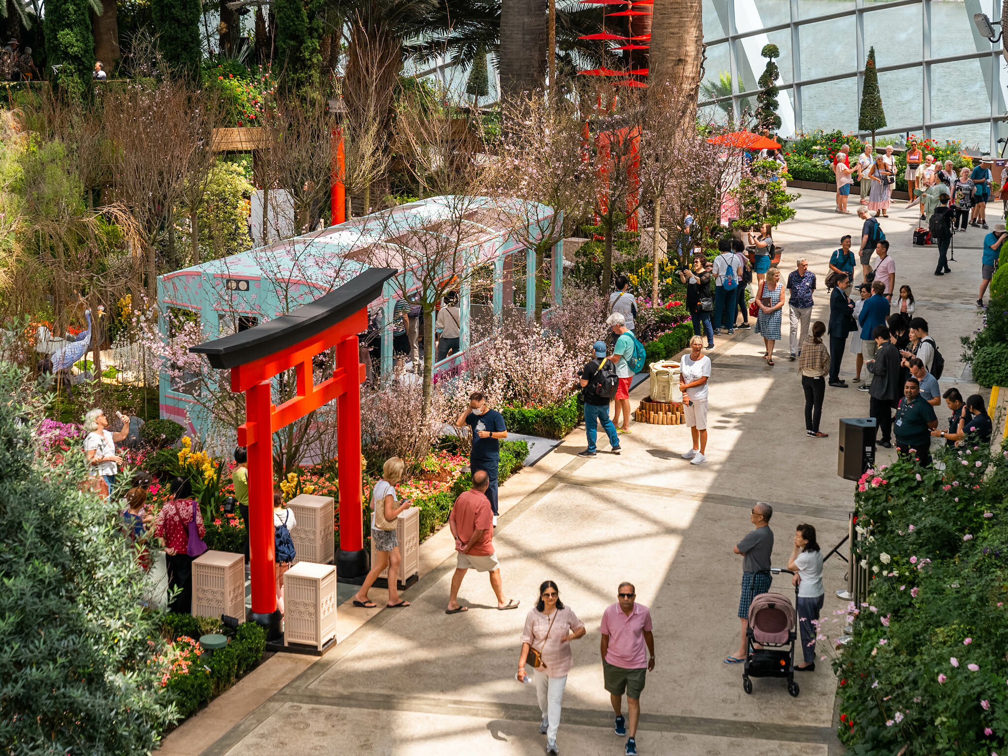 The Iconic Sakura Flora Display Returns To The Flower Dome At Gardens