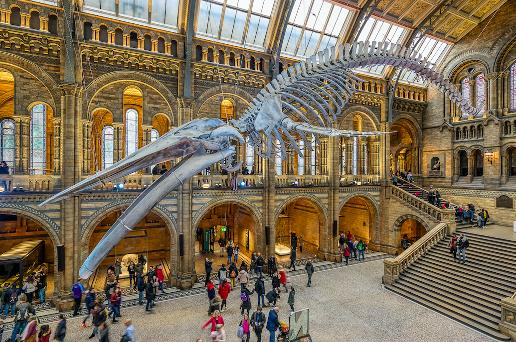 The UK’s most popular indoor attraction is in London LIA London