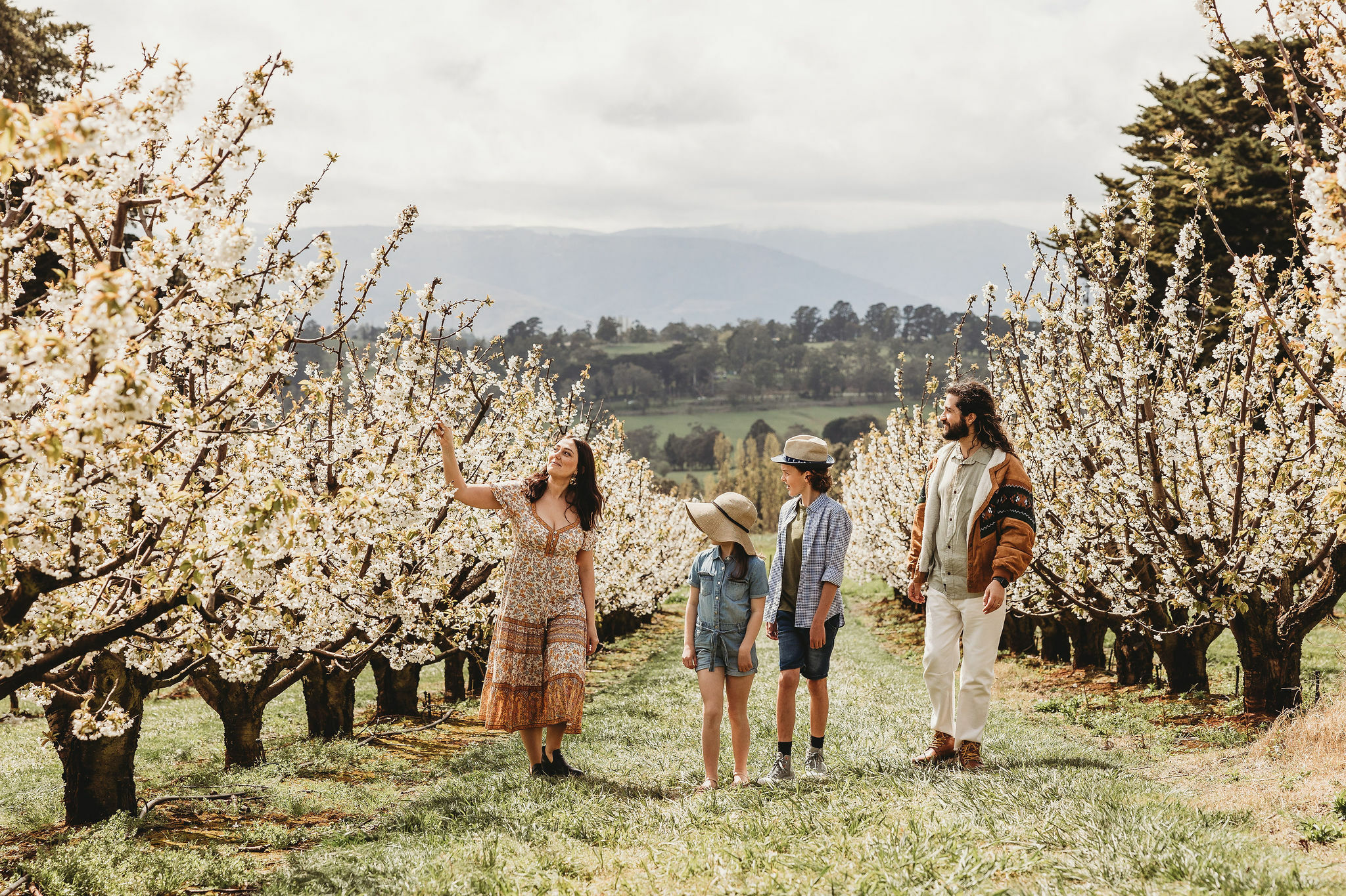 6 places near Melbourne to see cherry blossoms this spring 2024